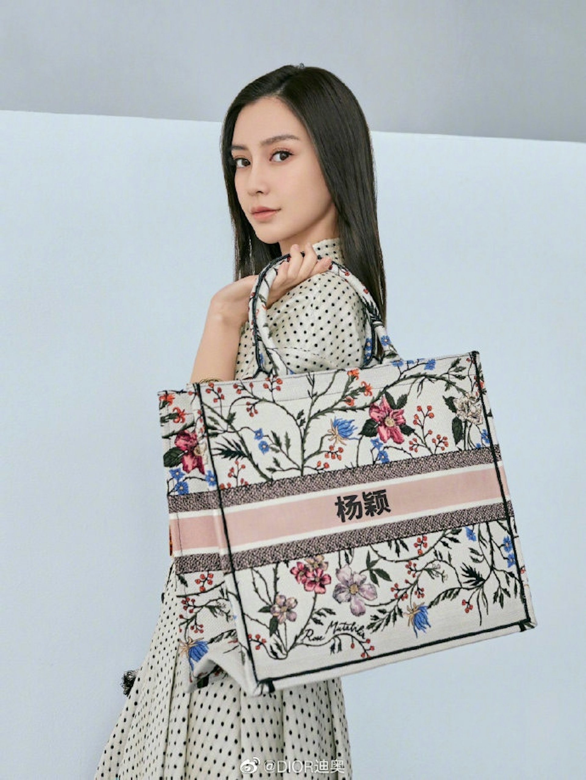 春夏手袋 Dior中文字刺繡袋網民評似假貨 同價位還有何選擇 春夏手袋 Dior中文字刺繡袋網民評似假貨 同價位還有何選擇