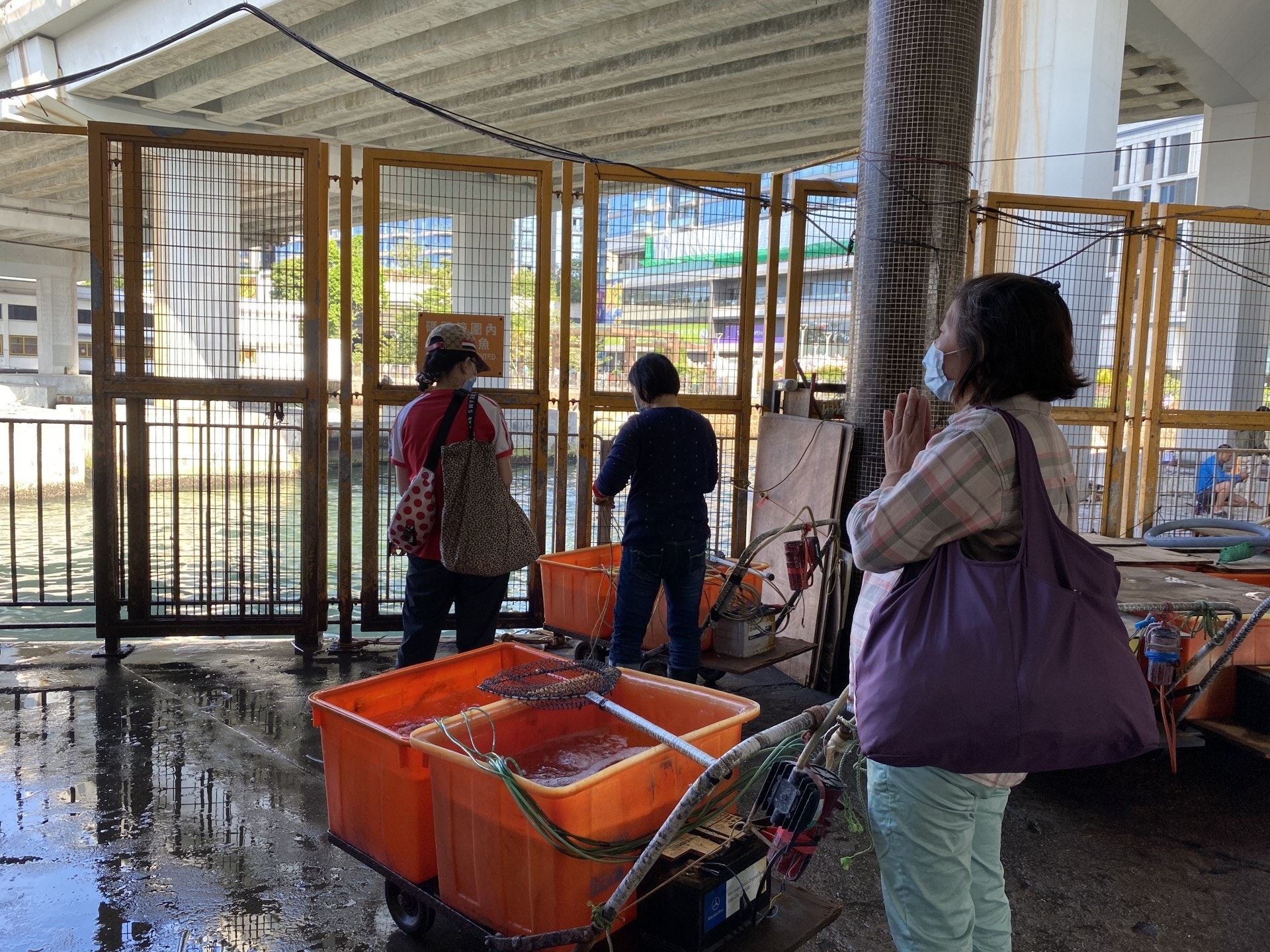 佛誕日,不少善信到北角渡輪碼頭進行放生祈福活動。(黃廸雯攝) 佛誕日,不少善信到北角渡輪碼頭進行放生祈福活動。(黃廸雯攝)