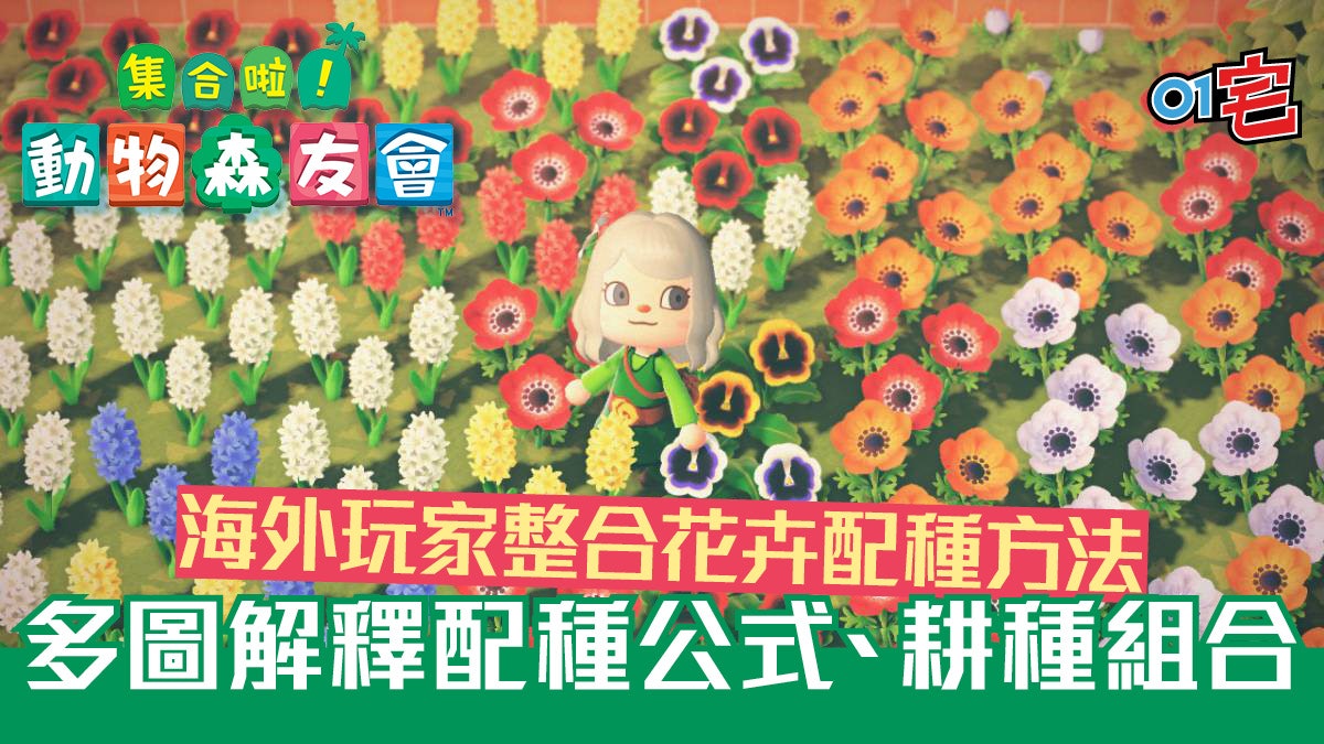 動物之森 異色花配種攻略 海外玩家整合最簡單易明方法 動物之森 異色花配種攻略 海外玩家整合最簡單易明方法