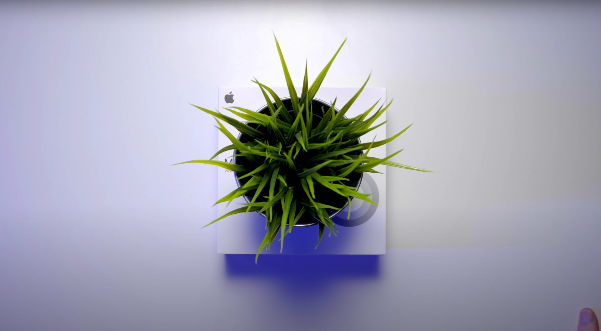 【Youtube截圖】 【Youtube截圖】