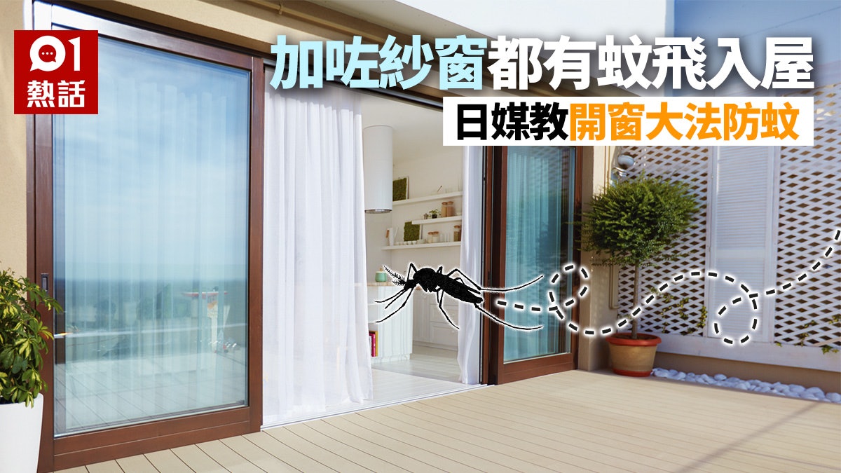 【夏天喇】屋企用趟窗成日有蚊飛入屋 日媒教紗窗終極防蚊法 【夏天喇】屋企用趟窗成日有蚊飛入屋 日媒教紗窗終極防蚊法