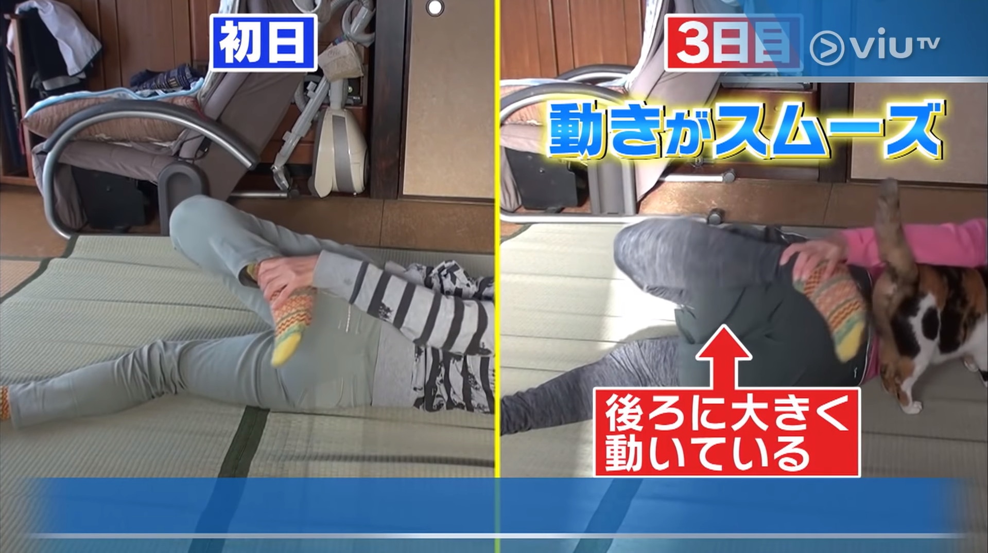 節目記錄她進行伸展體操三日後的變化。(viu TV《恐怖醫學》影片截圖) 節目記錄她進行伸展體操三日後的變化。(viu TV《恐怖醫學》影片截圖)