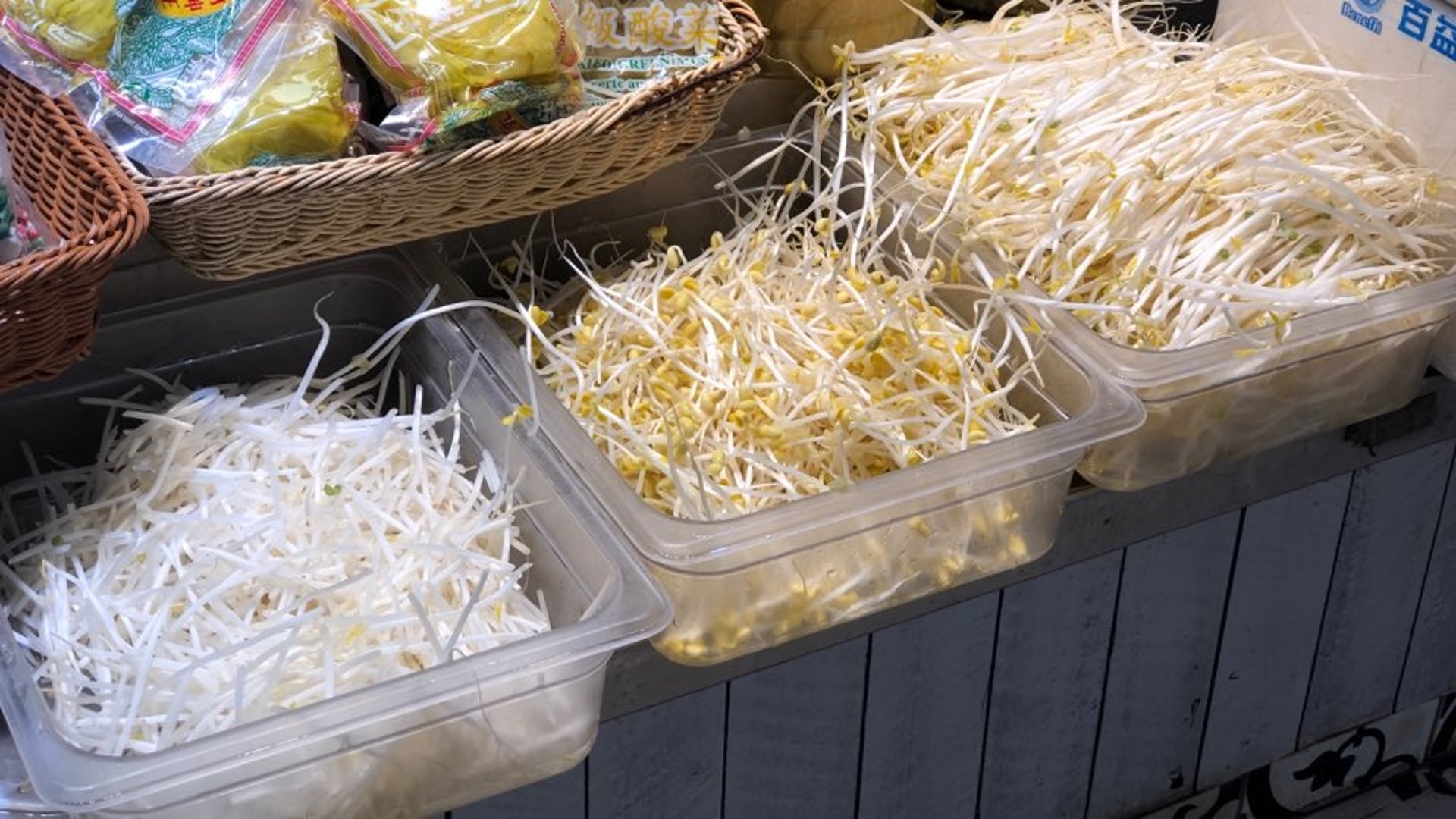 芽菜營養 降血糖抗氧化怎煮營養免流失 銀芽大豆芽綠豆芽要識分 芽菜營養 降血糖抗氧化怎煮營養免流失 銀芽大豆芽綠豆芽要識分