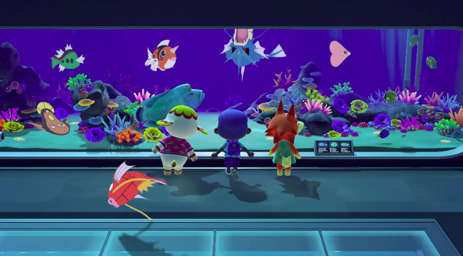 動物之森 與pokemon神奇融合無人島釣鯉魚王 同比卡超玩 動物之森 與pokemon神奇融合無人島釣鯉魚王 同比卡超玩