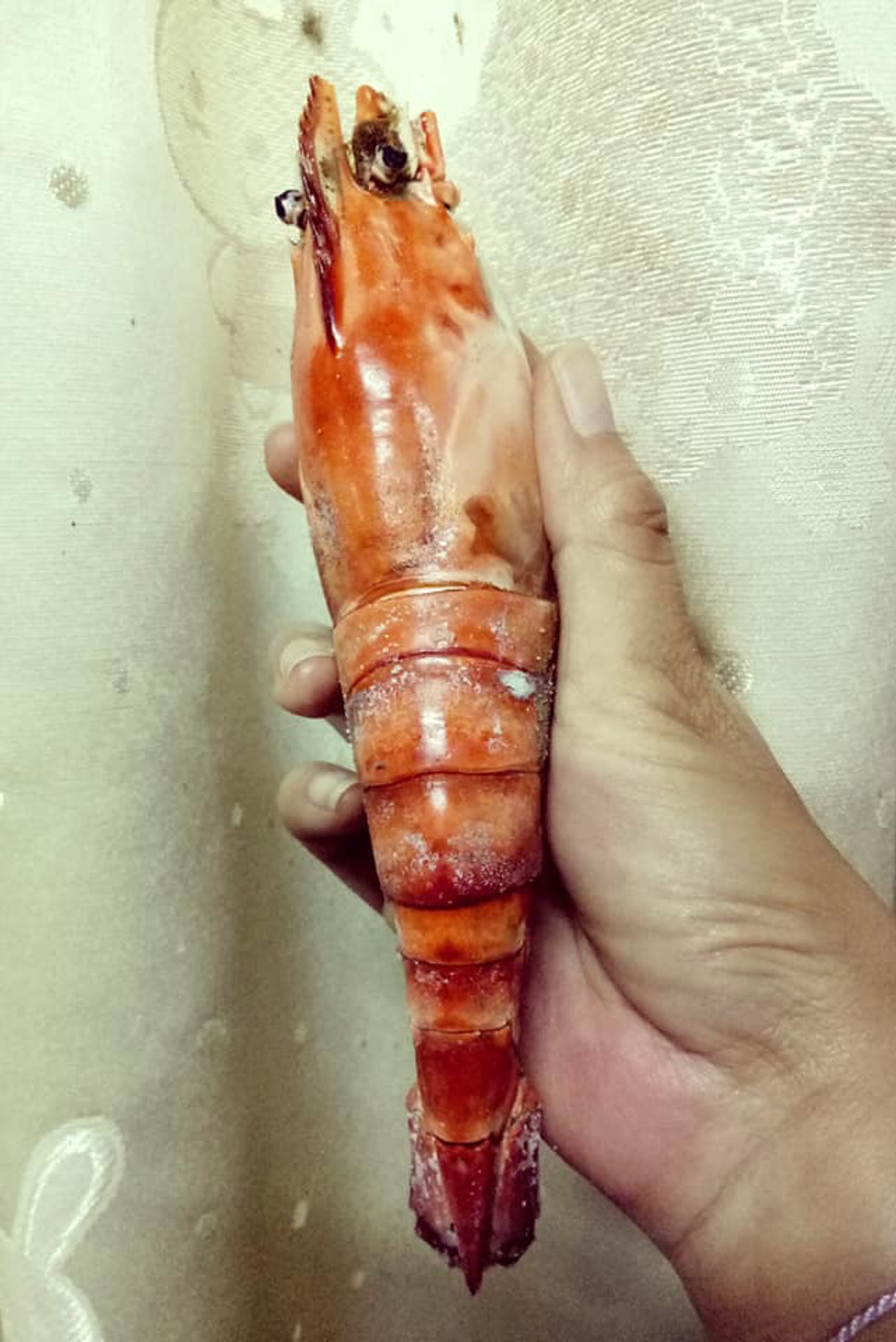 買到超肥大泰國蝦以為執到寶煮熟縮水嚴重變詐騙蝦網民咁解釋 香港01 熱爆話題