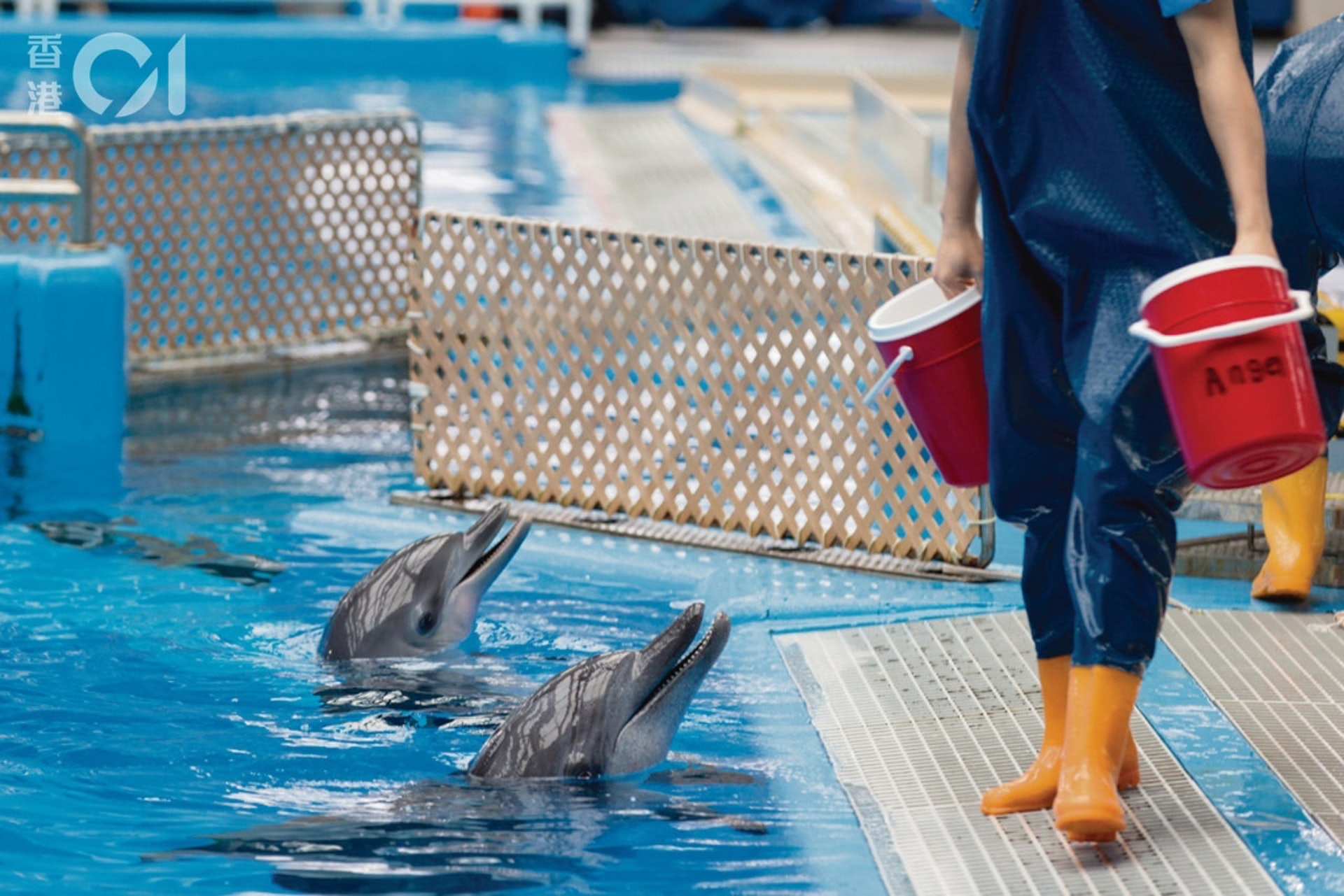 海洋劇場是很多香港人的集體回憶。(資料圖片/江智騫攝) 海洋劇場是很多香港人的集體回憶。(資料圖片/江智騫攝)