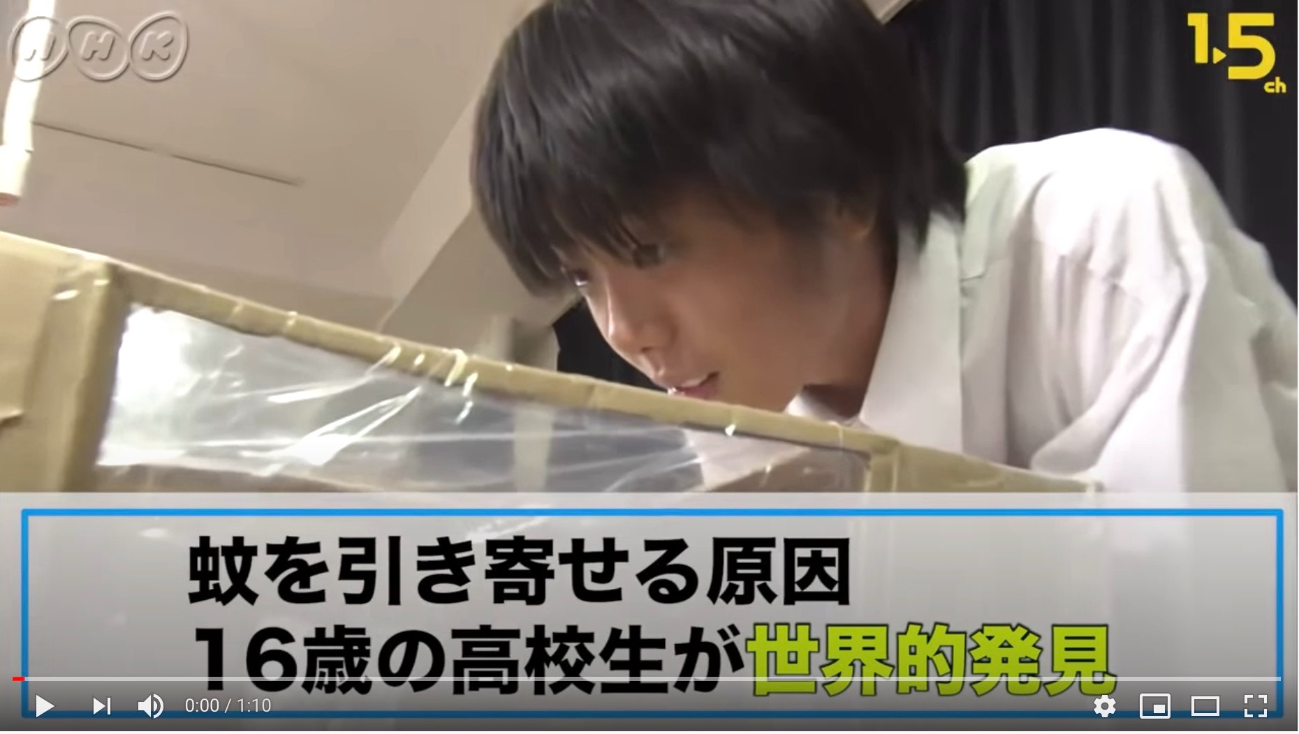 田上大喜自己養蚊研究惹蚊原因。（節目截圖）