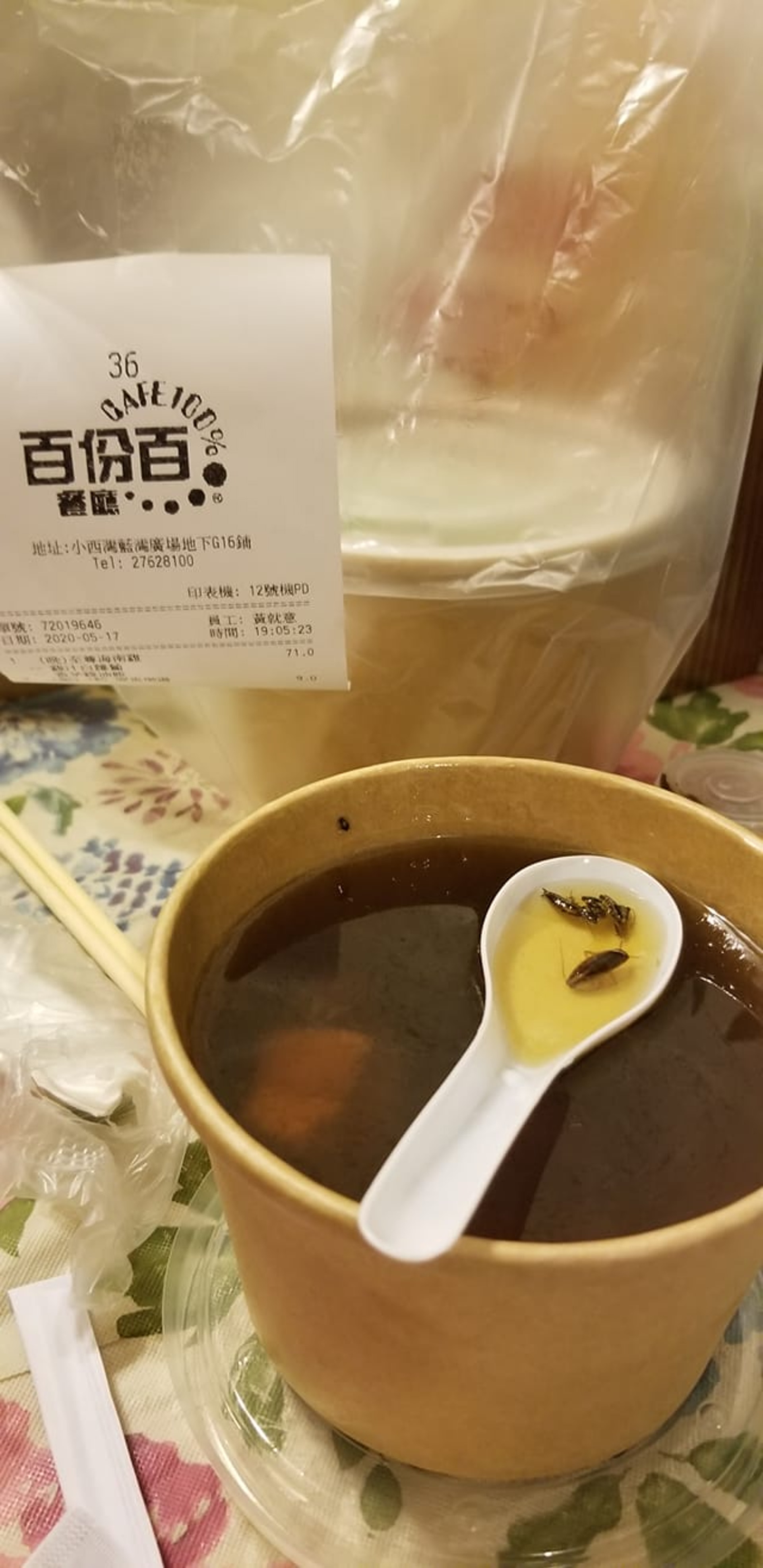 網民「Alex Kwan」的相片,相中可見,曱甴屍體不止一隻。 網民「Alex Kwan」的相片,相中可見,曱甴屍體不止一隻。