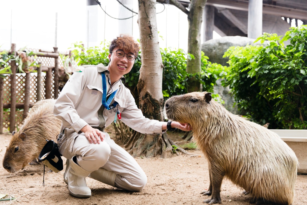 陸生動物部護理員蘇國豪表示入職3年半,對動物比起對家人的時間還要多。 陸生動物部護理員蘇國豪表示入職3年半,對動物比起對家人的時間還要多。