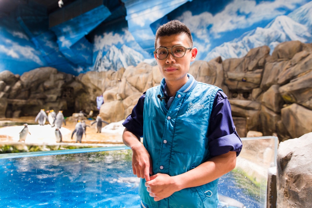 高級海洋哺乳類動物監督周焯邦自2008年開始照顧動物。 高級海洋哺乳類動物監督周焯邦自2008年開始照顧動物。