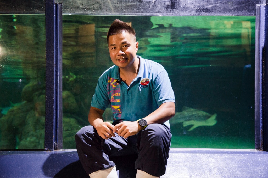 水族員黎豪義負責照顧豹紋鯊。 水族員黎豪義負責照顧豹紋鯊。