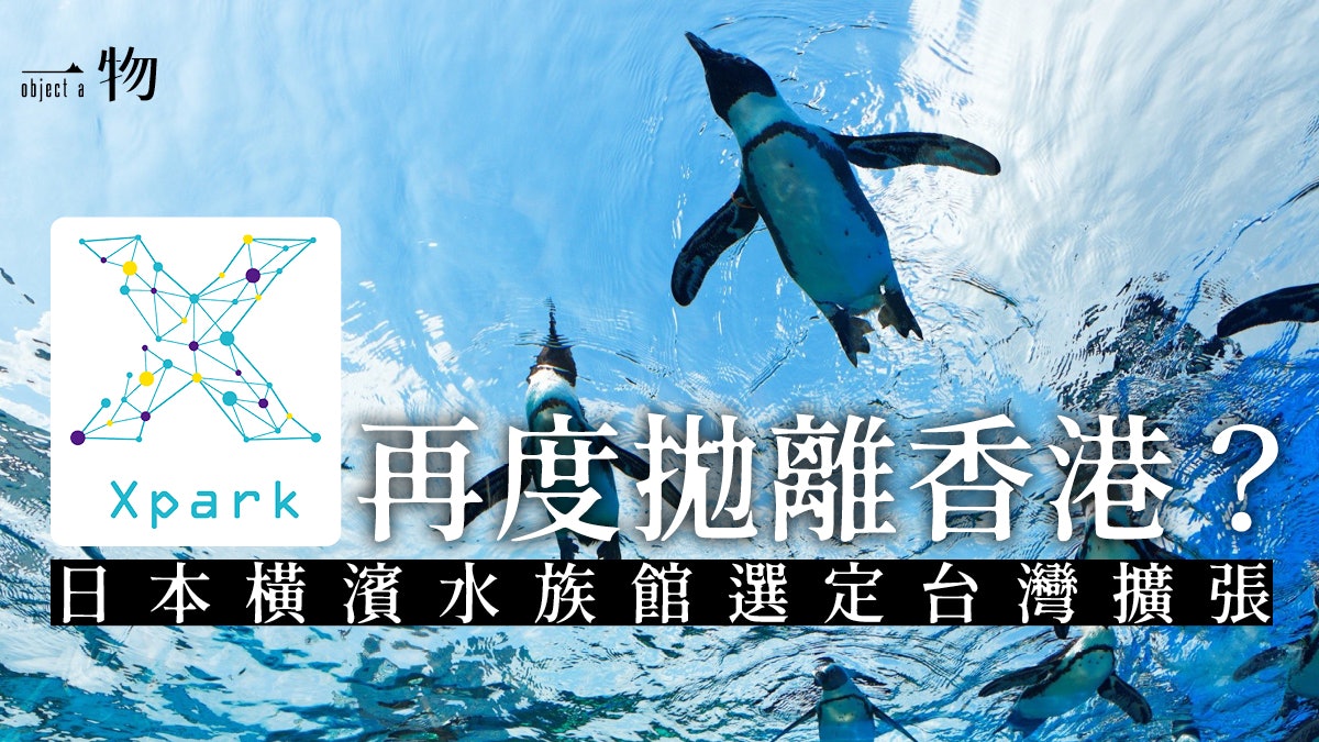 海洋公園完敗 桃園開設橫濱水族館海外分館營造美麗水世界 海洋公園完敗 桃園開設橫濱水族館海外分館營造美麗水世界