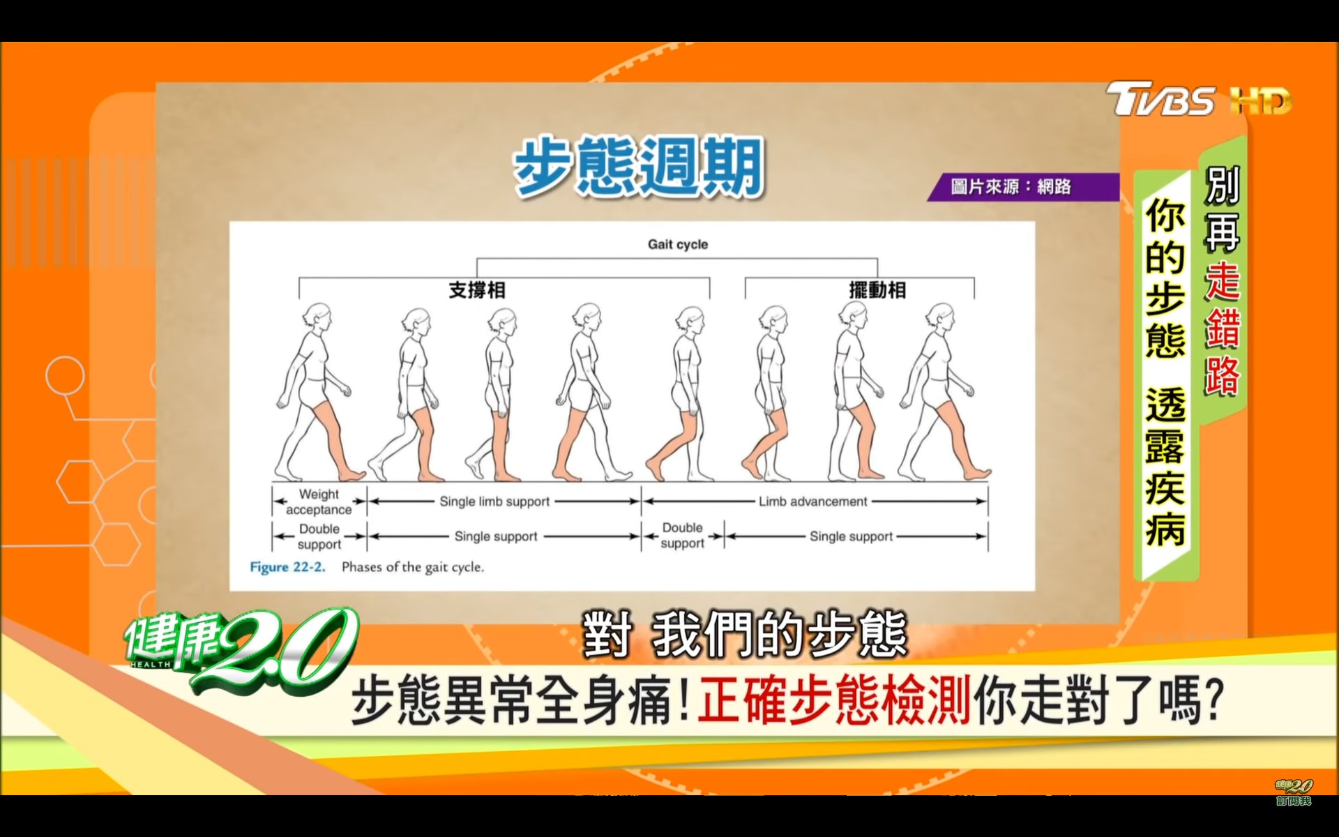正確步態週期（台灣TVBS頻道《健康2.0》截圖）
