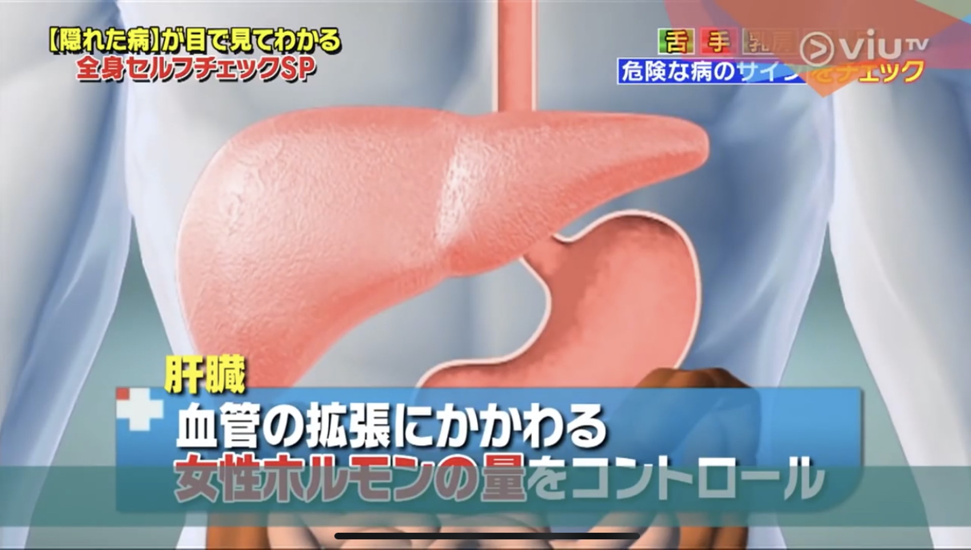 節目解釋,肝臟可控制和血管擴張有關的女性荷爾蒙。(Viu TV《恐怖醫學》影片截圖) 節目解釋,肝臟可控制和血管擴張有關的女性荷爾蒙。(Viu TV《恐怖醫學》影片截圖)