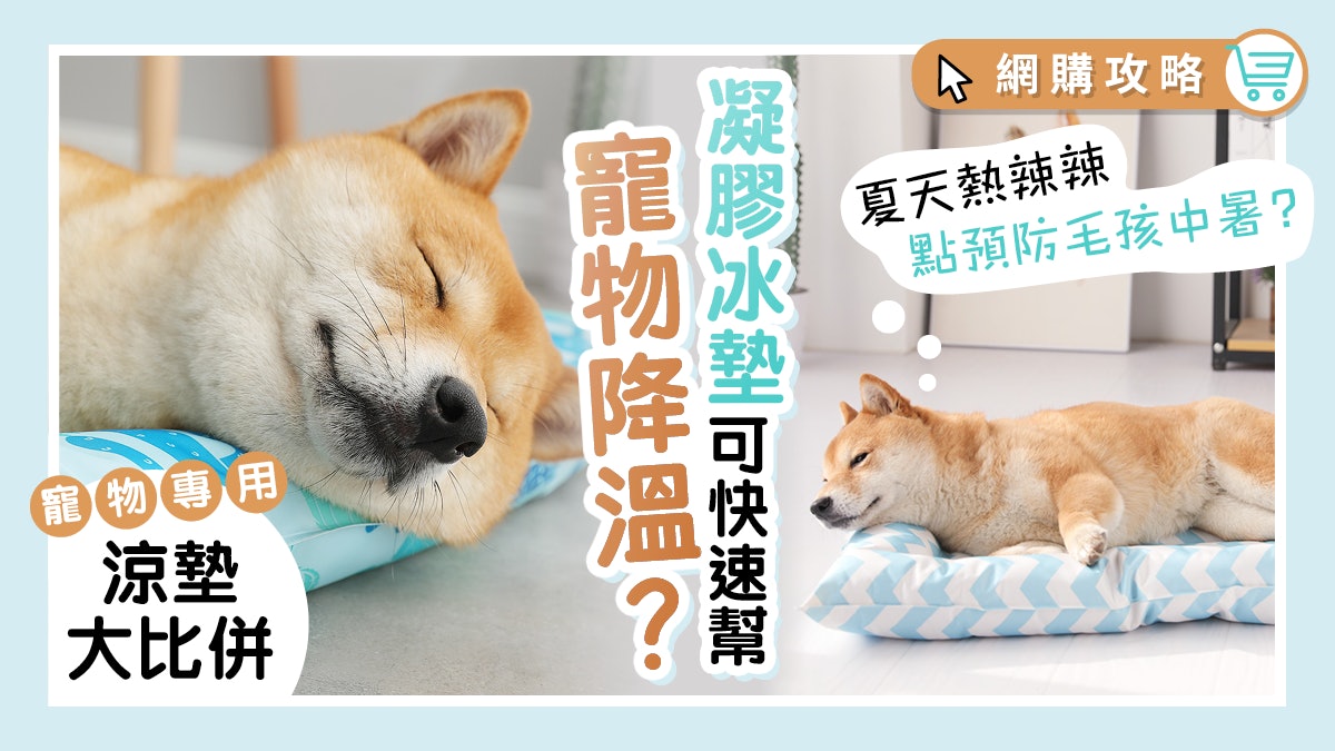 【寵物消暑】多款貓狗冰涼墊大比拼!凝膠冰墊涼感最強 毋須冷氣? 【寵物消暑】多款貓狗冰涼墊大比拼!凝膠冰墊涼感最強 毋須冷氣?