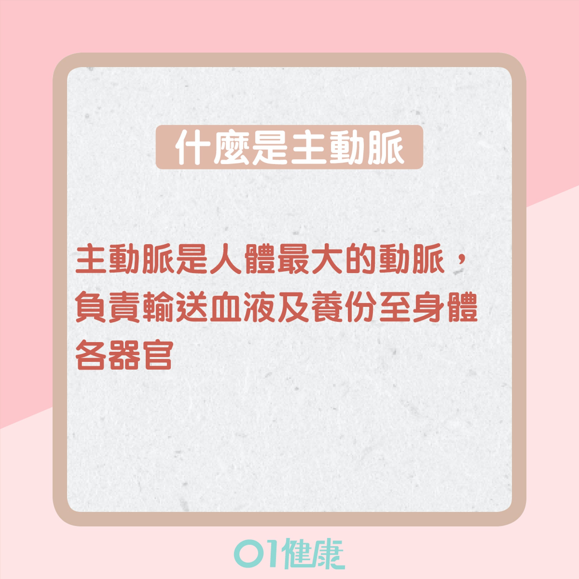 什麼是主動脈撕裂?(01製圖) 什麼是主動脈撕裂?(01製圖)