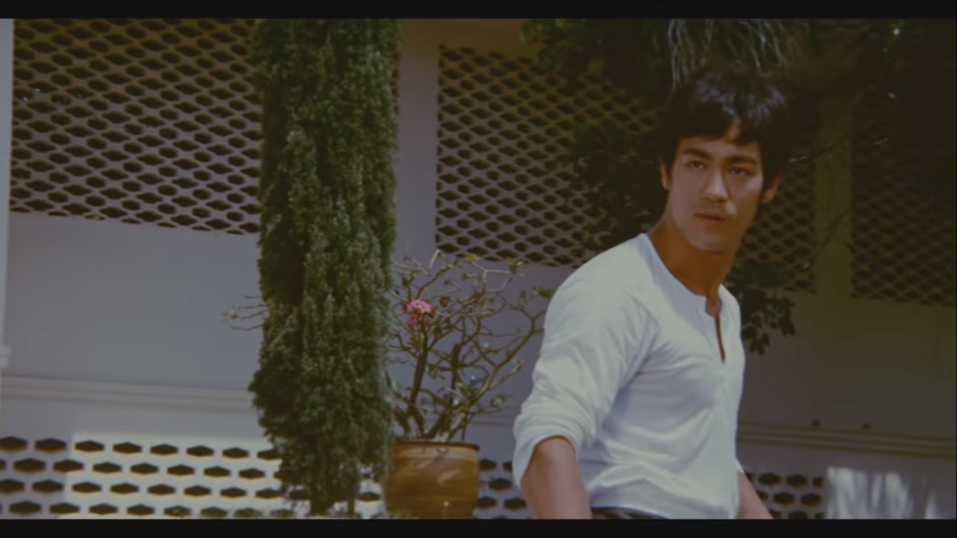 。(《Bruce Lee 30 for 30: 'Be Water'》影片擷圖) 。(《Bruce Lee 30 for 30: 'Be Water'》影片擷圖)
