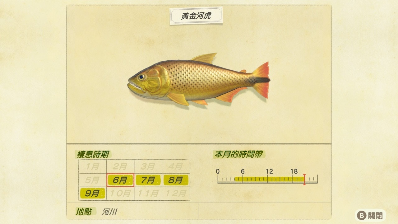 黃金虎魚／商店 ：15000﹑收購箱 ：12000﹑俞司廷：22500／出沒時間：凌晨4點至晚上9點／河川（遊戲截圖）