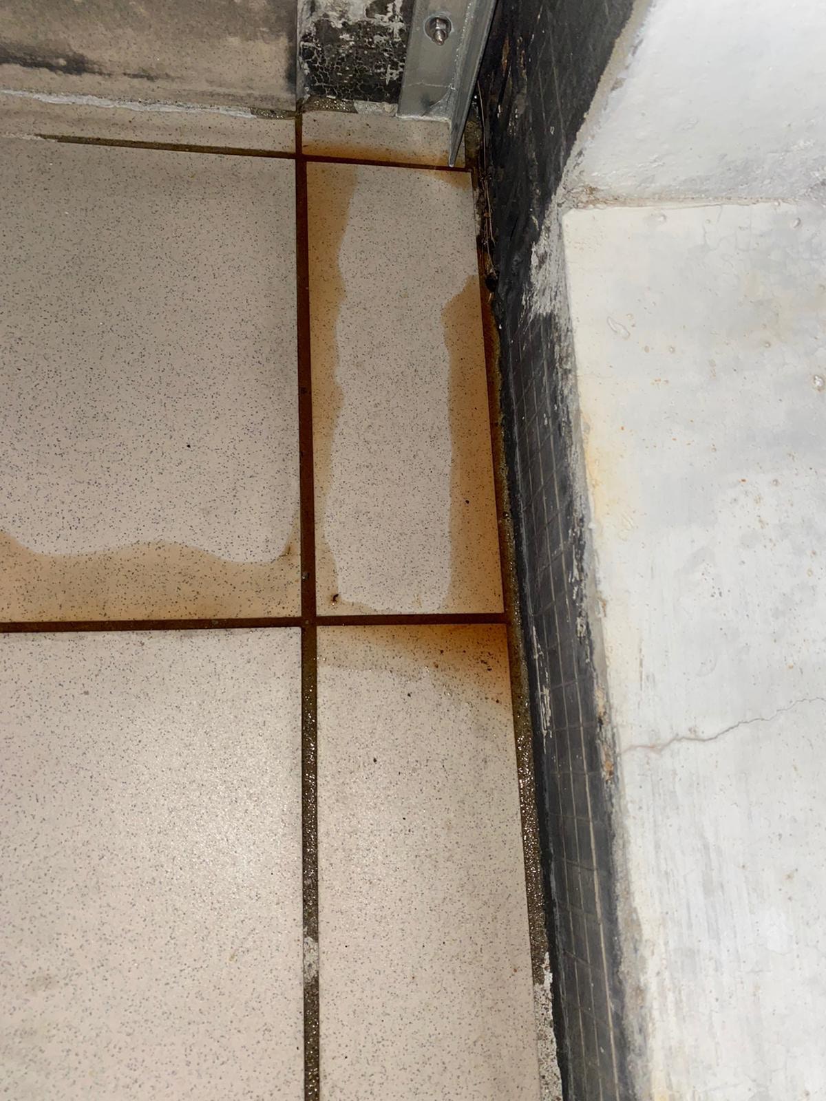 術後四天,Mickey排下血尿。(受訪者提供圖片) 術後四天,Mickey排下血尿。(受訪者提供圖片)