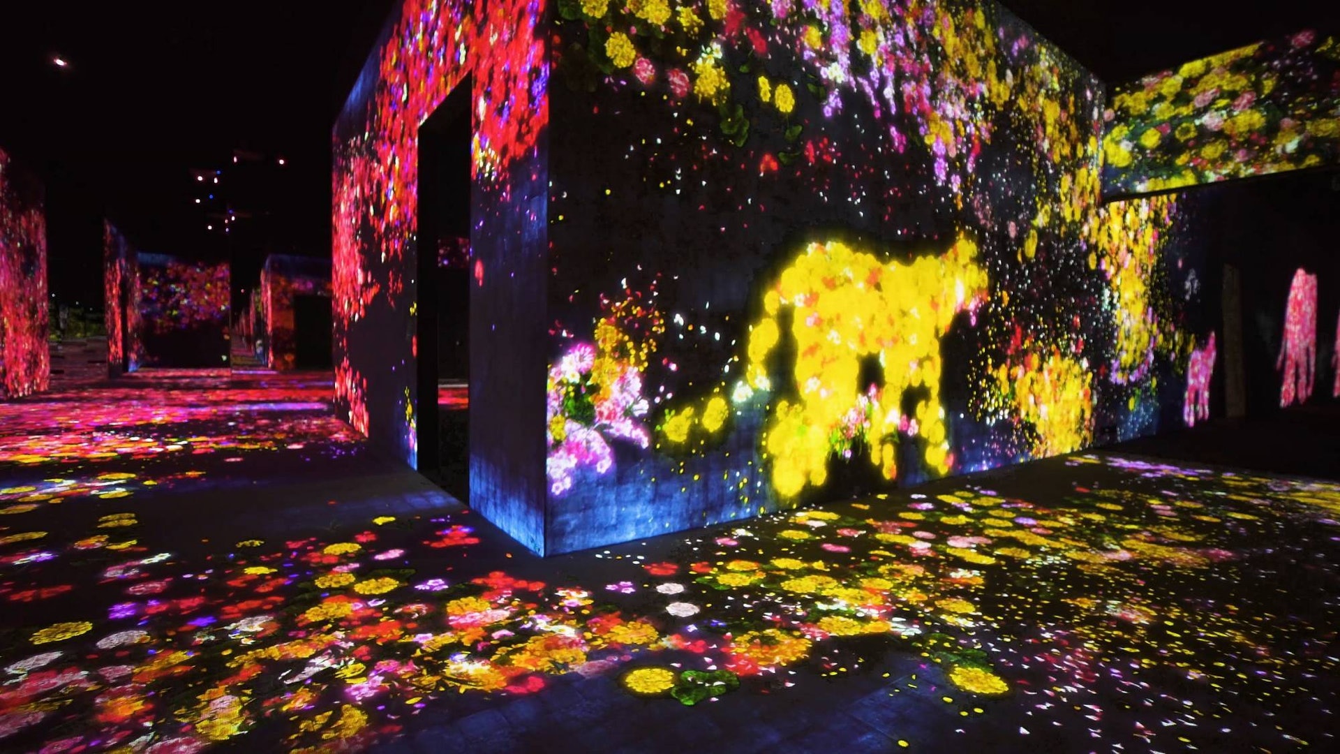 《在花舞森林中誕生,與花共生的動物們》展區(teamLab圖片) 《在花舞森林中誕生,與花共生的動物們》展區(teamLab圖片)