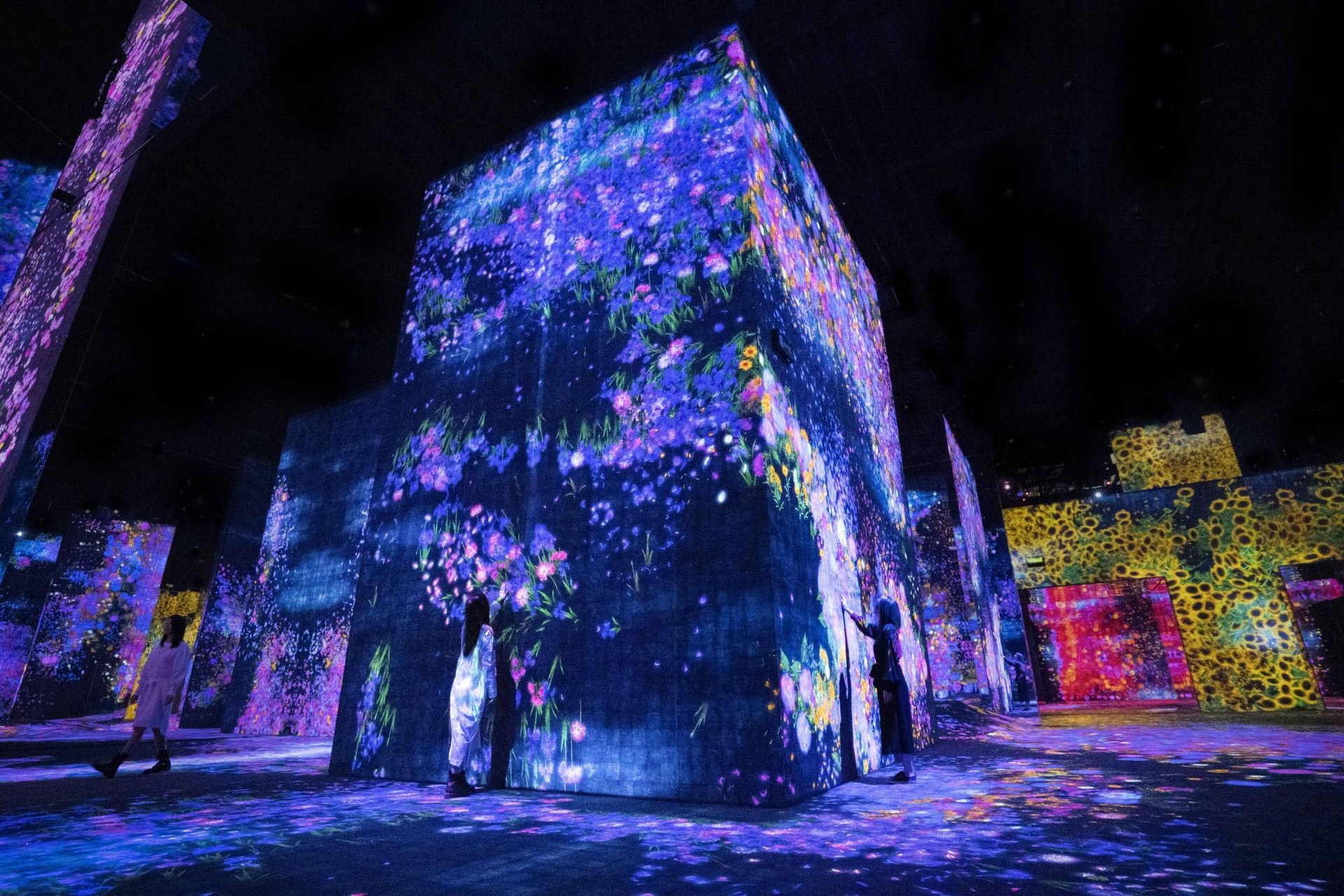 (teamLab圖片) (teamLab圖片)