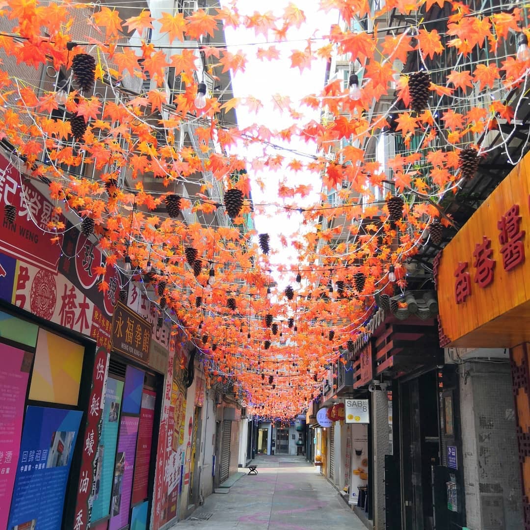 抬頭一望就見到一大片紅色楓葉做裝飾！（ig@ anna201107）