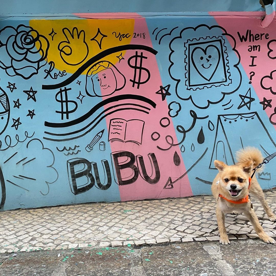 沿路都有唔少特色又有童趣的塗鴉，幾cute！（ig@ baileyley.w）