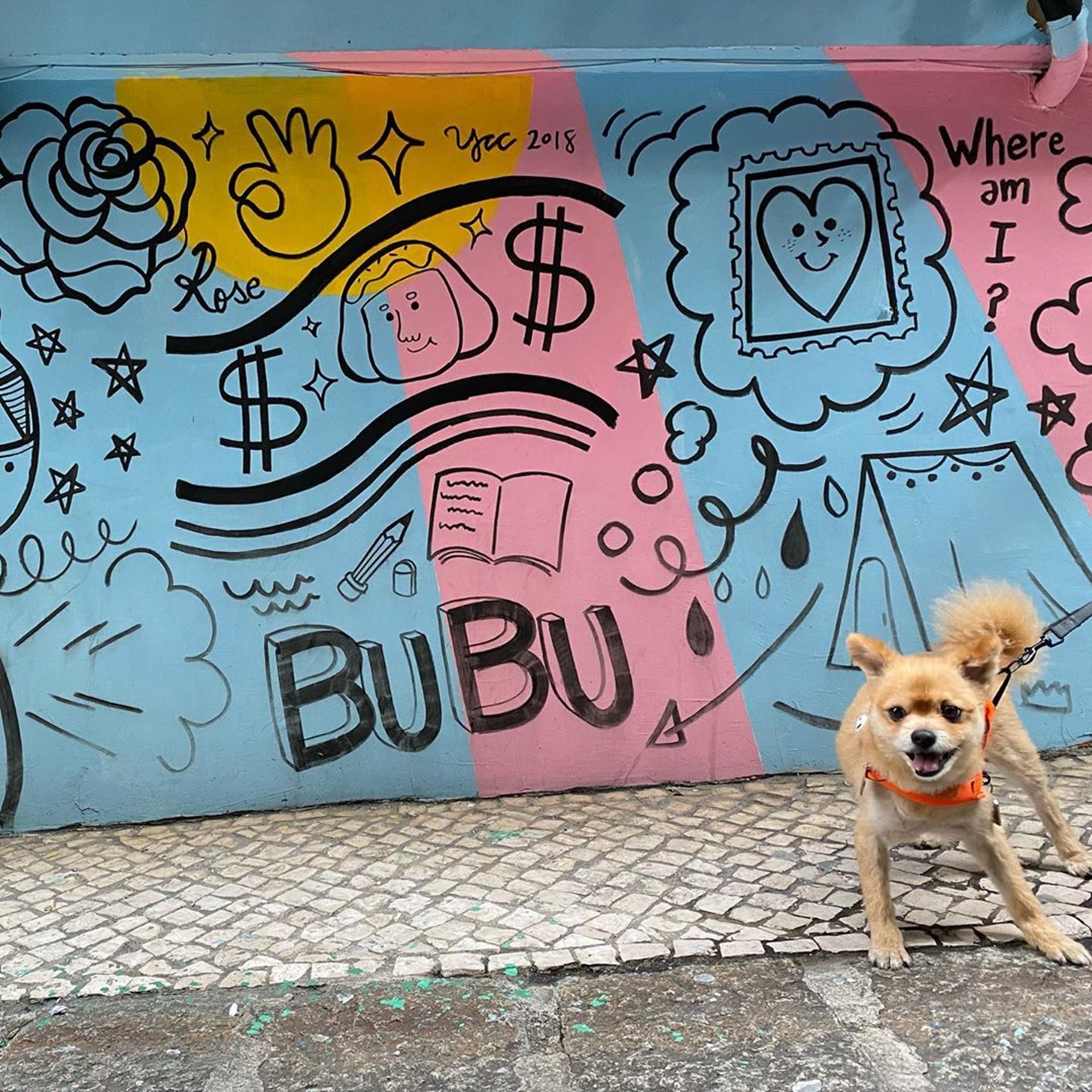 沿路都有唔少特色又有童趣的塗鴉,幾cute!(ig@ baileyley.w) 沿路都有唔少特色又有童趣的塗鴉,幾cute!(ig@ baileyley.w)