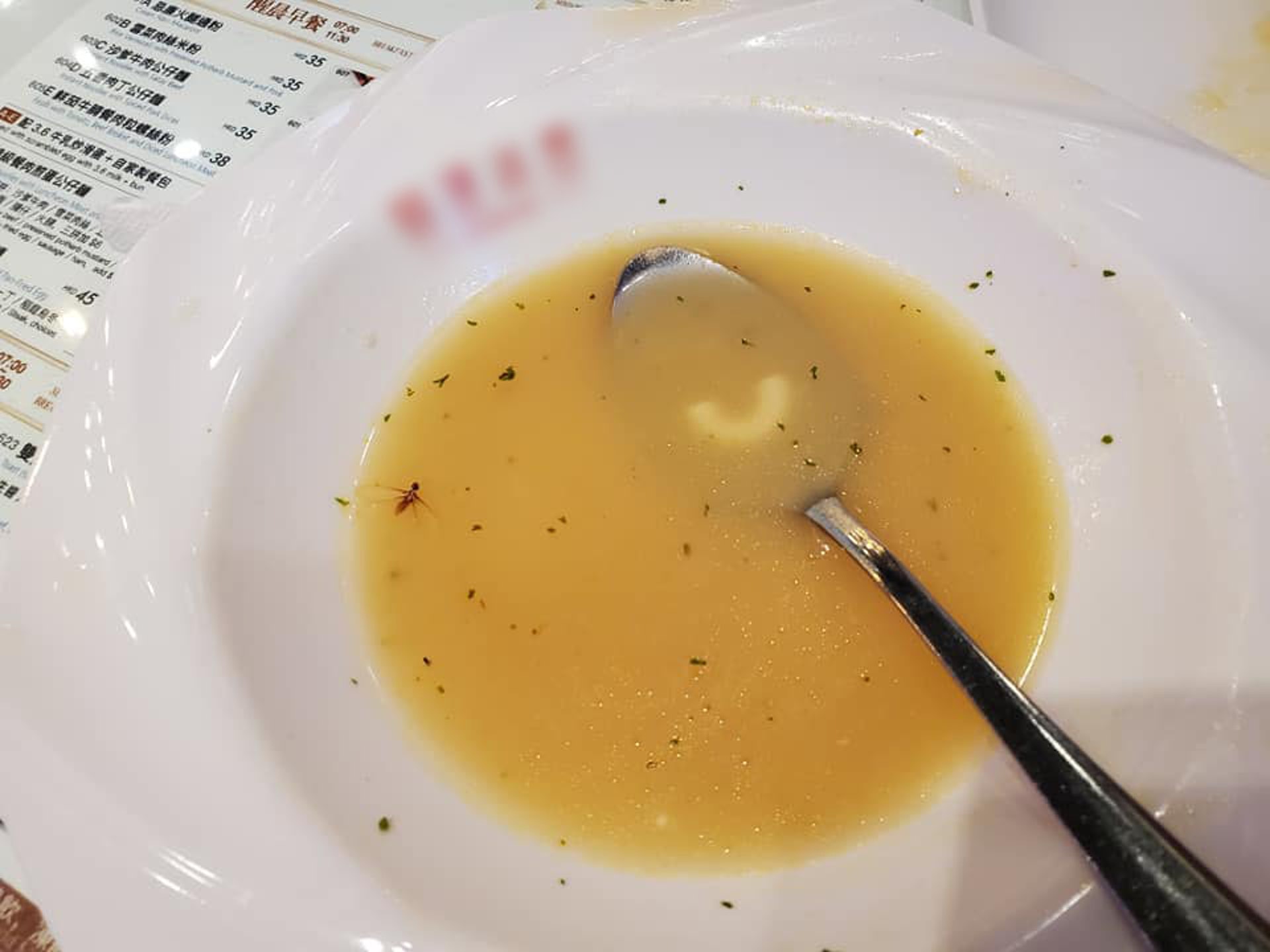 樓主無奈表示周六晚 (6日)光顧位於旺角的冰室,當時點了一客通心粉,正當吃到最後時,突然有隻飛蟻從天花板掉下來,更碰巧掉在湯碗內。(fb群組「巴打絲打facebook Club」圖片) 樓主無奈表示周六晚 (6日)光顧位於旺角的冰室,當時點了一客通心粉,正當吃到最後時,突然有隻飛蟻從天花板掉下來,更碰巧掉在湯碗內。(fb群組「巴打絲打facebook Club」圖片)
