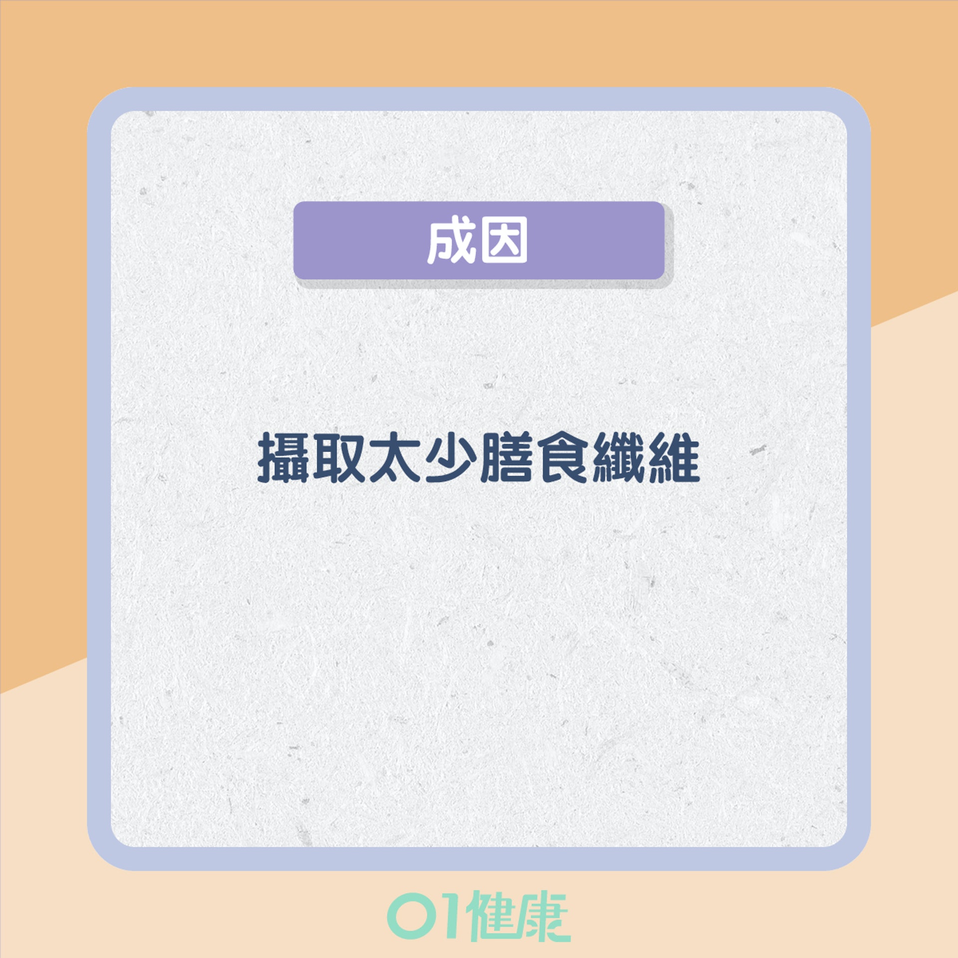 3種便秘類型(01製圖) 3種便秘類型(01製圖)