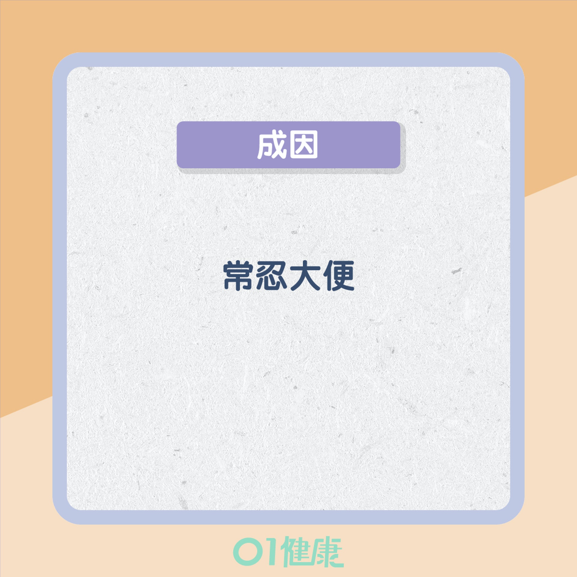 3種便秘類型(01製圖) 3種便秘類型(01製圖)