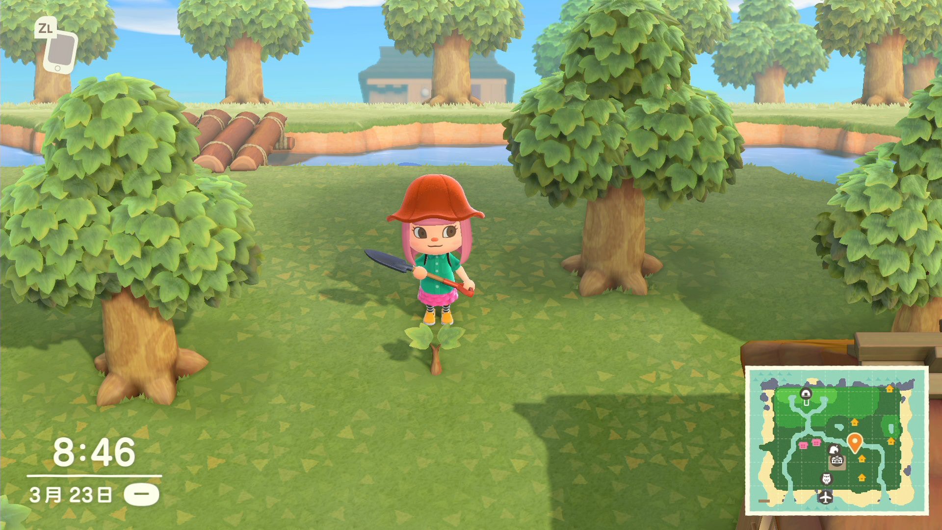 如是者發光洞便會出現樹苗,如果用鏟挖來看,可看到正式名是「發財樹」 如是者發光洞便會出現樹苗,如果用鏟挖來看,可看到正式名是「發財樹」