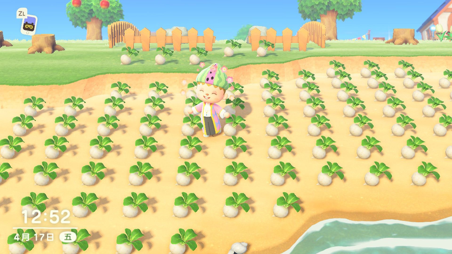 每個星期都要買一堆大頭菜放在地下,筆者這一批大頭菜忘記在星期 5 的早上賣出,結果交了沉重的學費......特此拍照留念(遊戲截圖) 每個星期都要買一堆大頭菜放在地下,筆者這一批大頭菜忘記在星期 5 的早上賣出,結果交了沉重的學費......特此拍照留念(遊戲截圖)