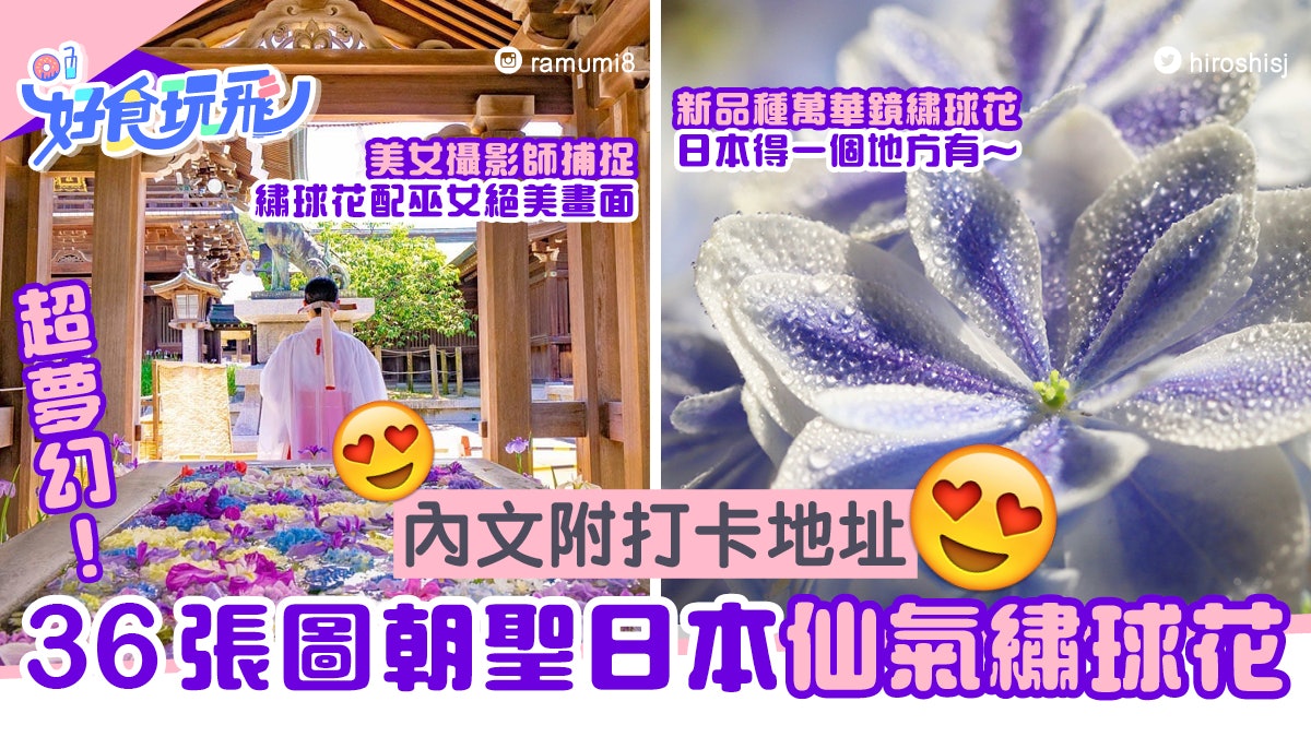新品種仙氣 萬華鏡 繡球花網上熱傳36張圖朝聖日本絕美繡球花 香港01 旅遊