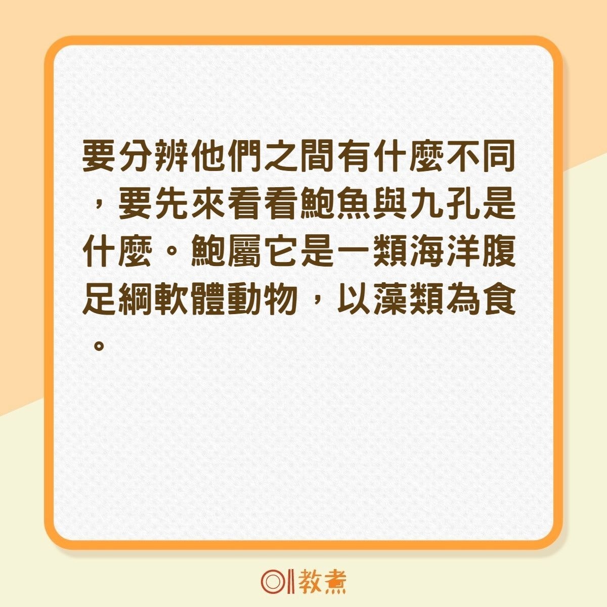 鮑魚與九孔是什麼？（01製圖）