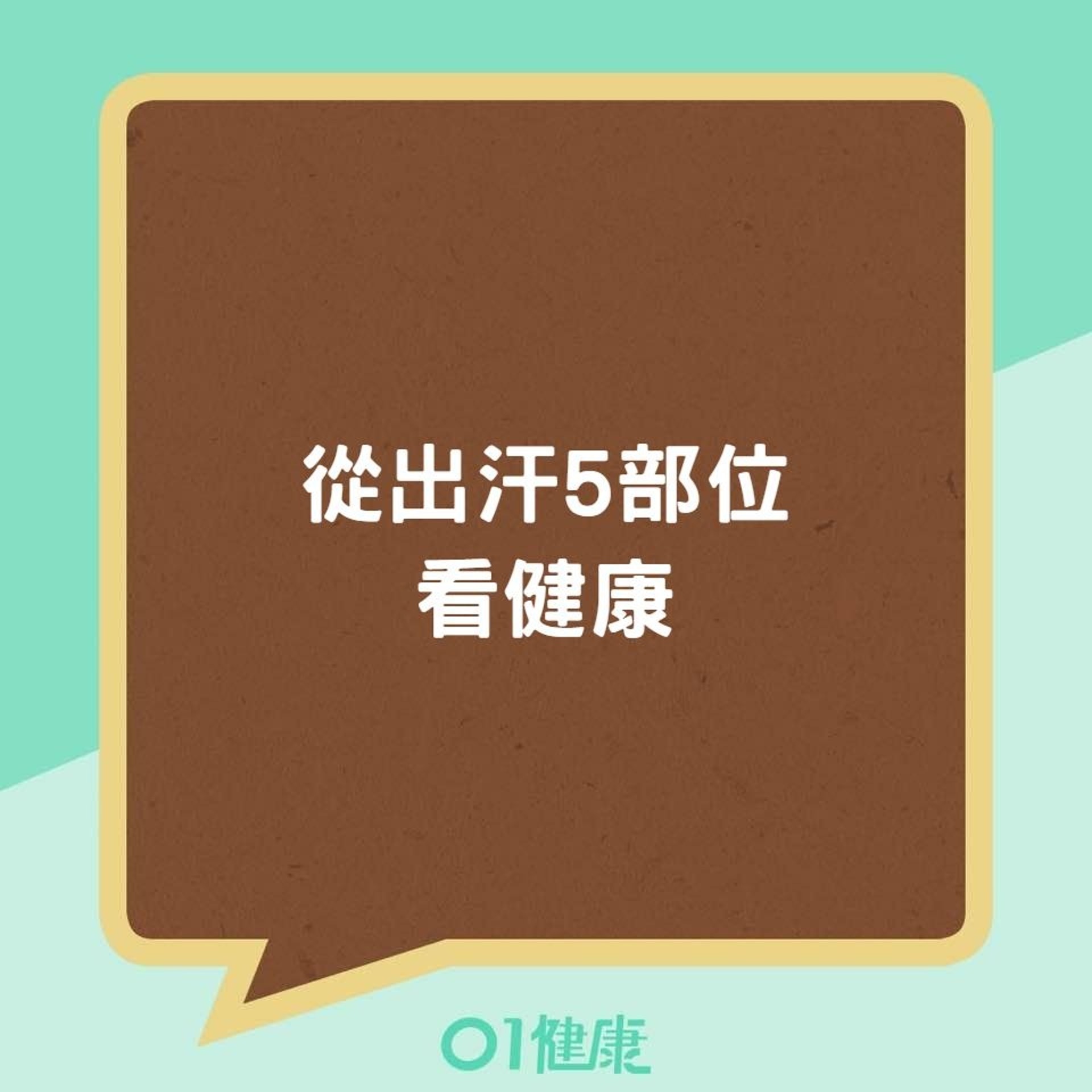 從出汗5部位看健康(01製圖) 從出汗5部位看健康(01製圖)
