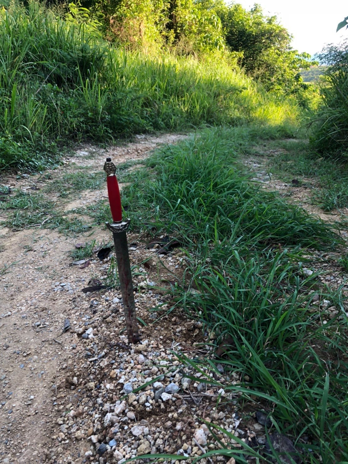 網民行山時見到往山祠的路中央插了一把七星劍，不明用意。 （fb群組「爆系知識家」圖片）