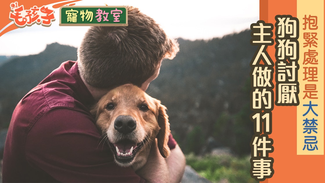 【狗行為】緊抱是大禁忌!不想成為狗狗討厭的主人 勿做這11件事 【狗行為】緊抱是大禁忌!不想成為狗狗討厭的主人 勿做這11件事