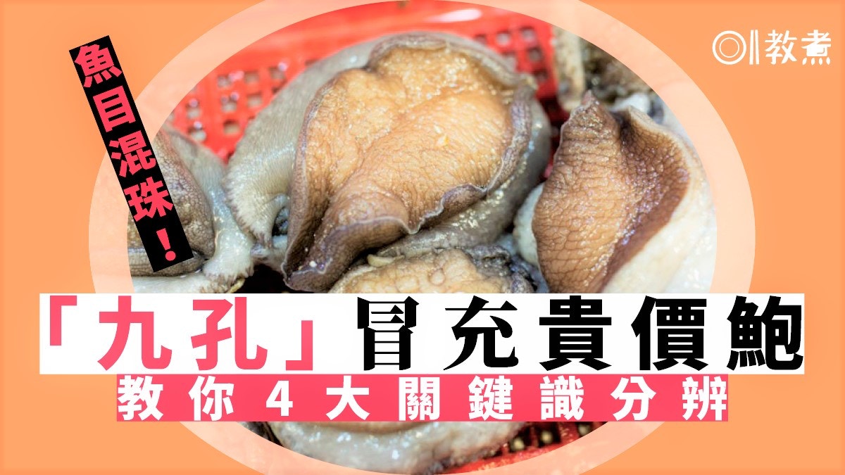 【海鮮迷思】怎樣分辨鮑魚與九孔？體積、外殼孔洞多少成解密關鍵