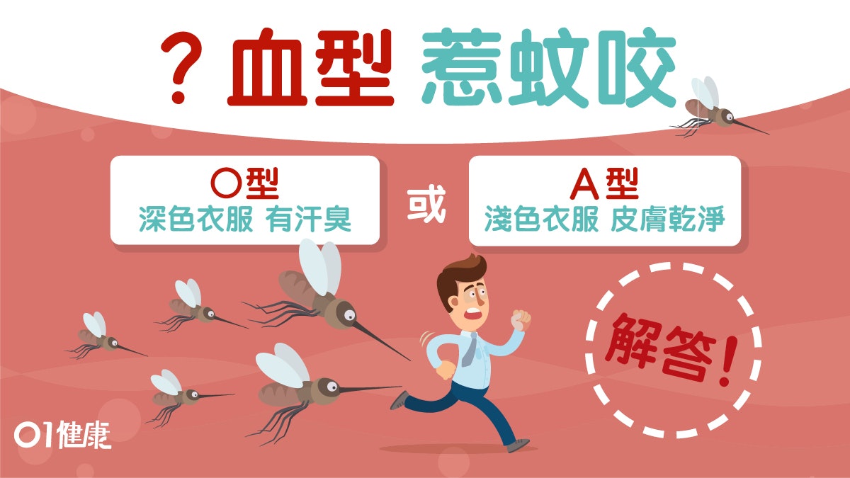 蚊 血型易惹蚊咬是否真 減少蚊叮的有效方法 蚊 血型易惹蚊咬是否真 減少蚊叮的有效方法