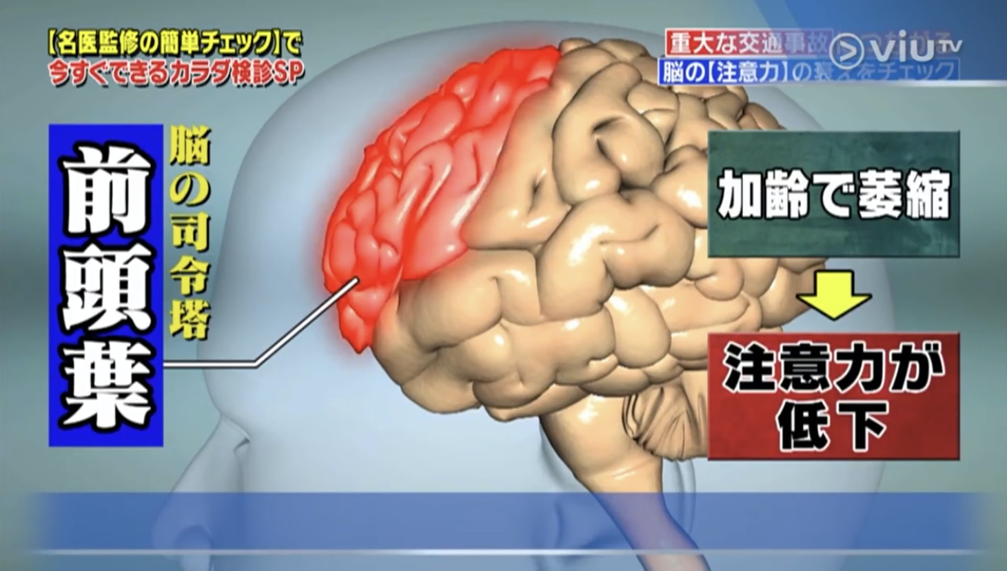 大腦中被稱為「腦部的司令台」額葉萎縮，就會令注意力下降。（Viu TV《恐怖醫學》影片截圖）