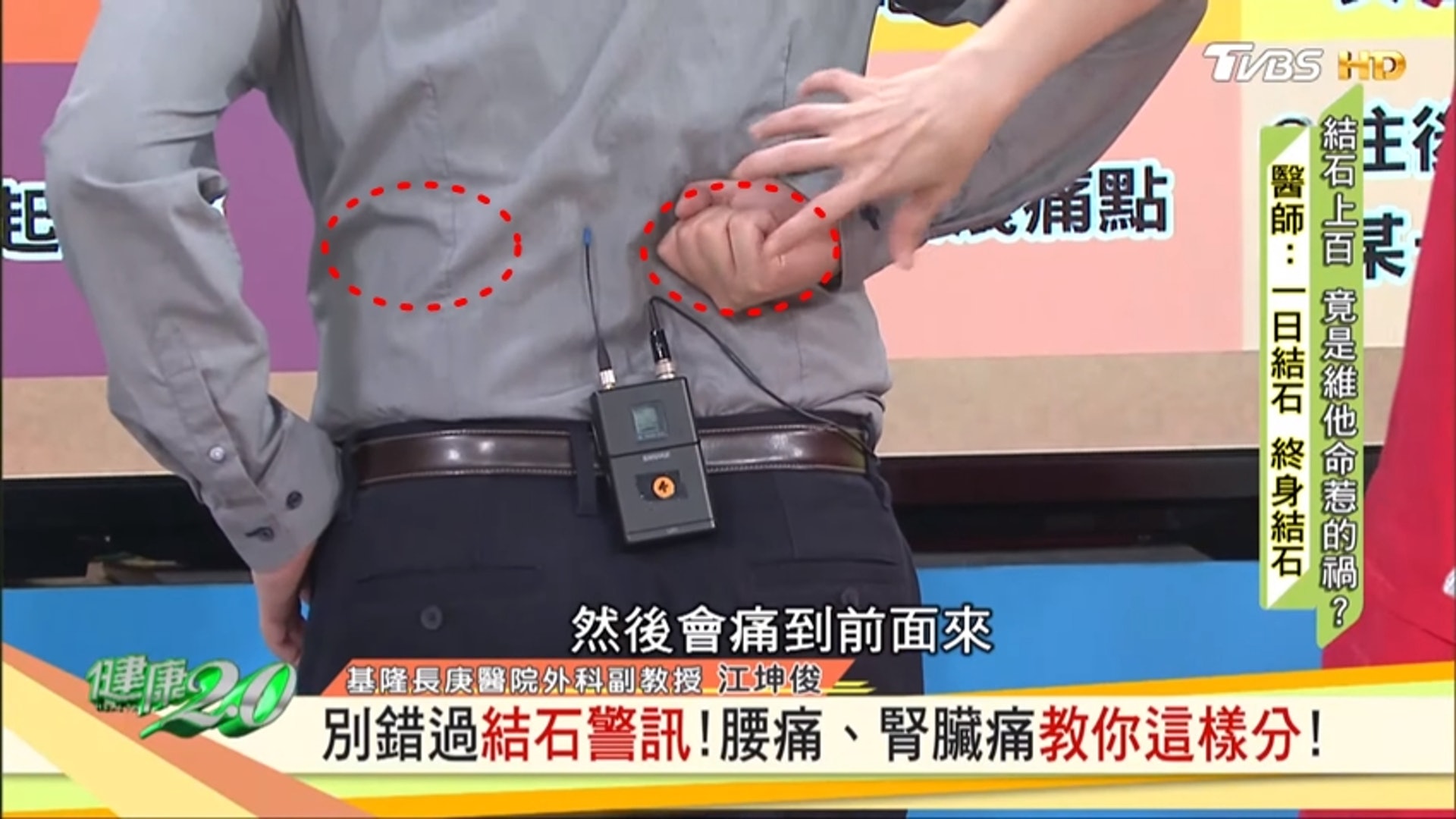 紅色圓圈為腎臟位置（台灣TVBS頻道《健康2.0》截圖）
