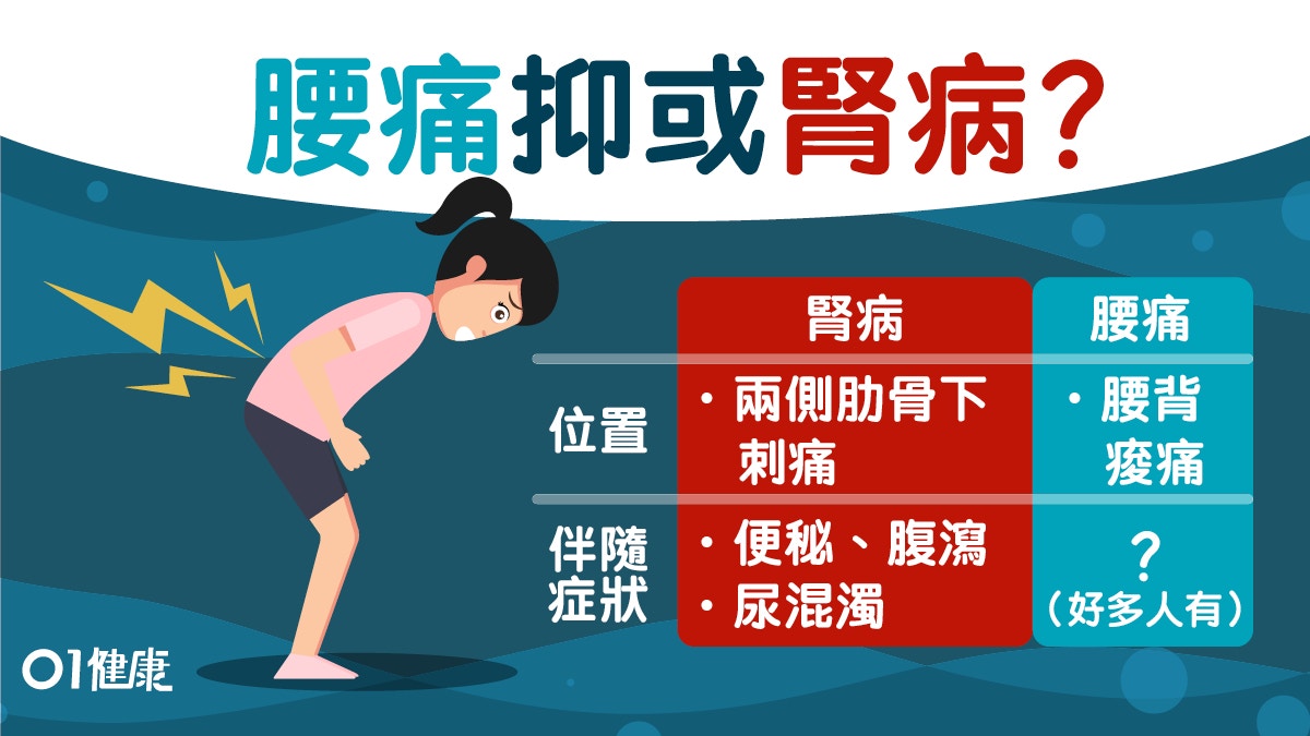 腰痛 腎臟痛或腰背痛3大重點教你分護腎要避開7種食物 香港01 健康