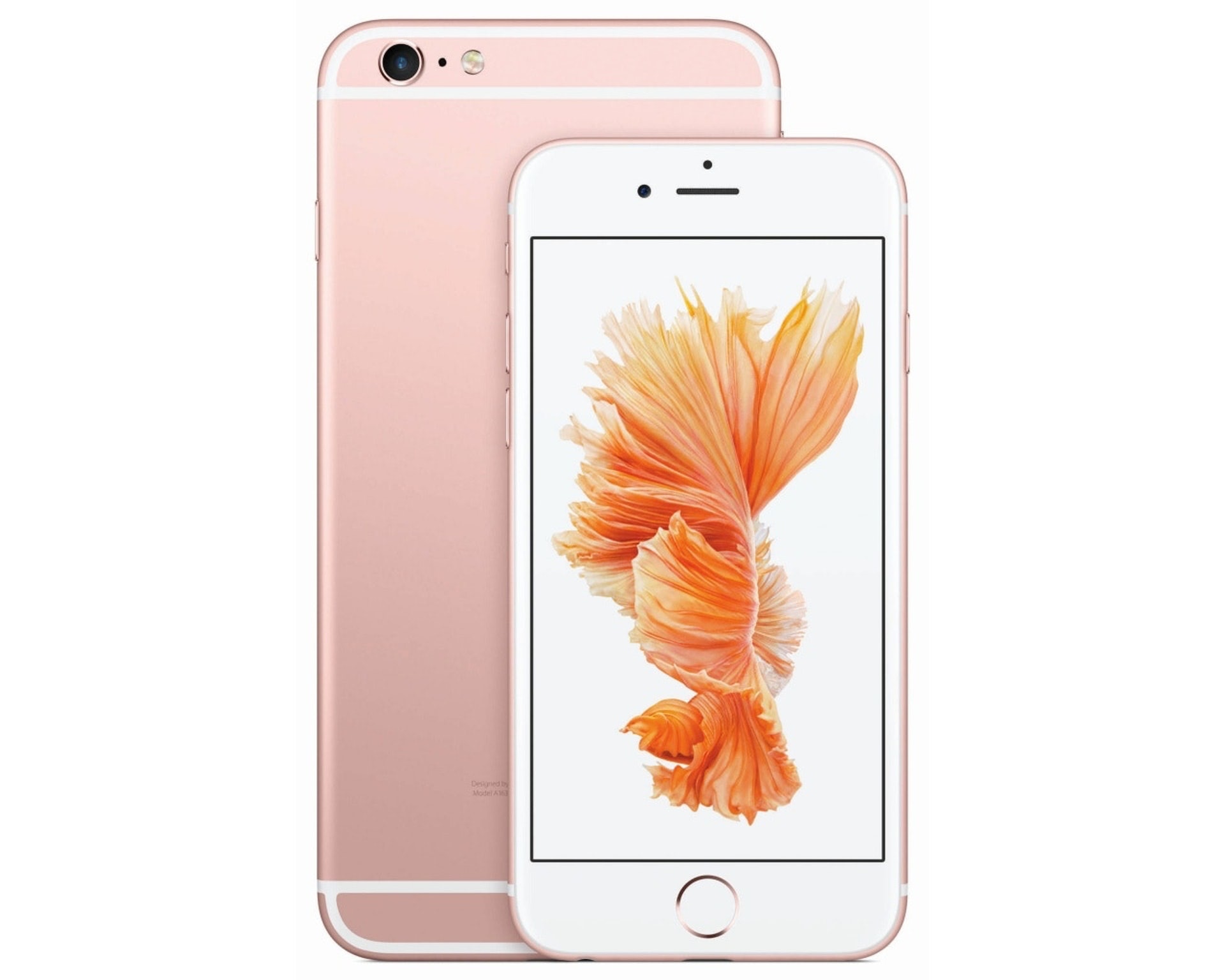 Ios 14 及ipados 14 支援機種五年iphone 六年ipad 仍可升級