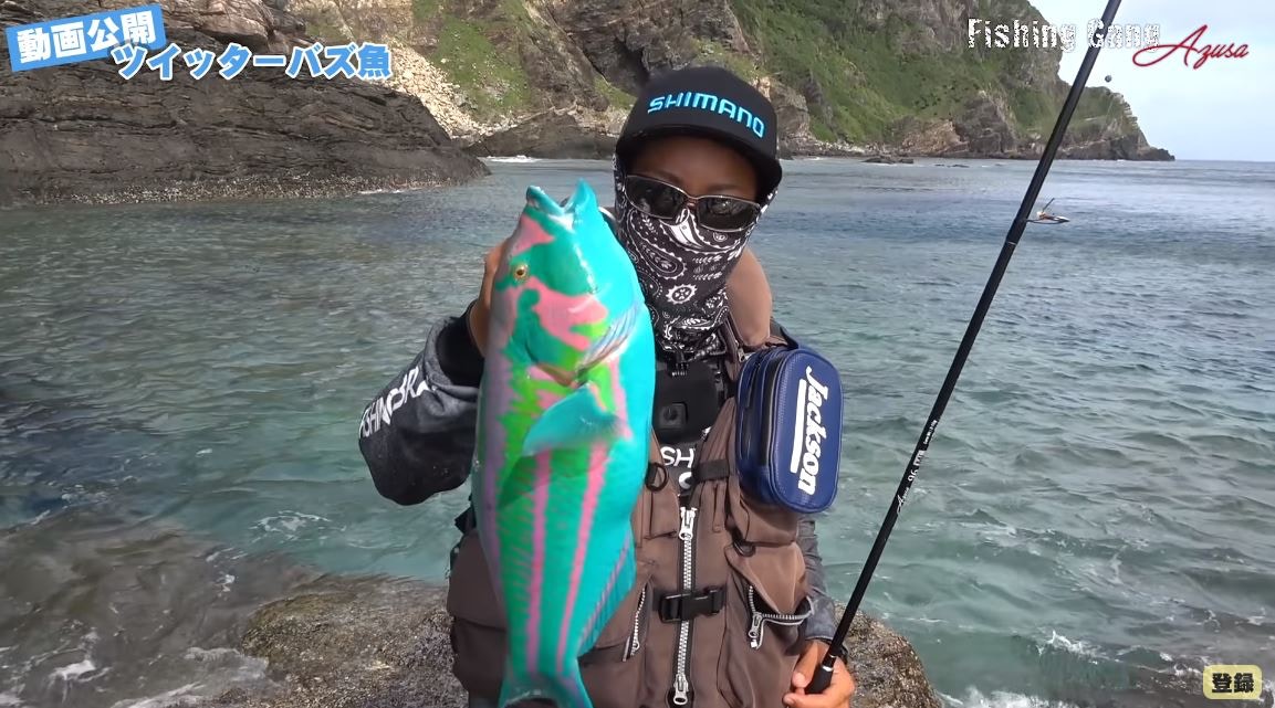 日男沖繩釣到繽紛怪魚顏色鮮艷激似塑膠玩具原來睇得又食得