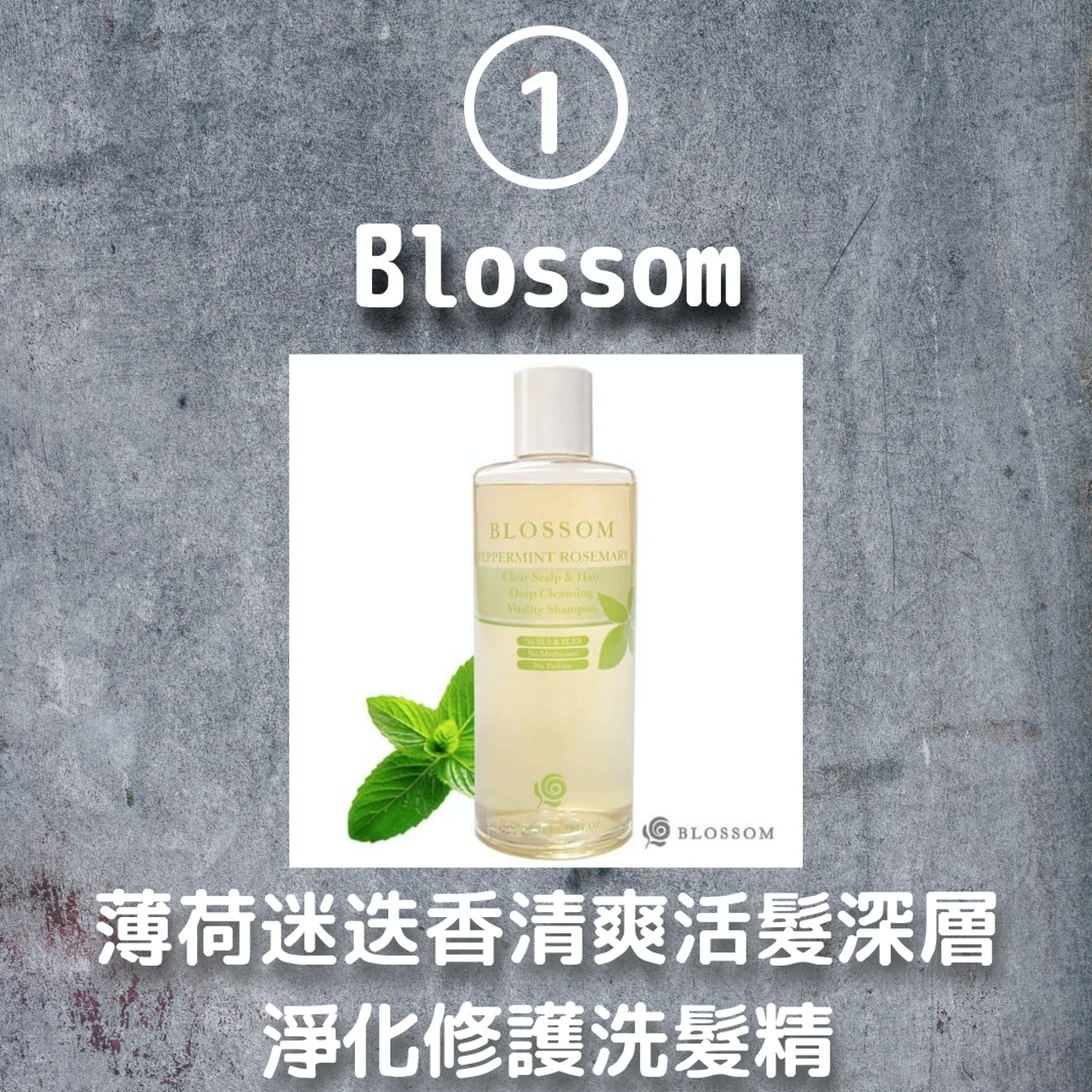 5款溫和植萃洗髮精推薦(圖:「Blossom」官網;01製圖) 5款溫和植萃洗髮精推薦(圖:「Blossom」官網;01製圖)