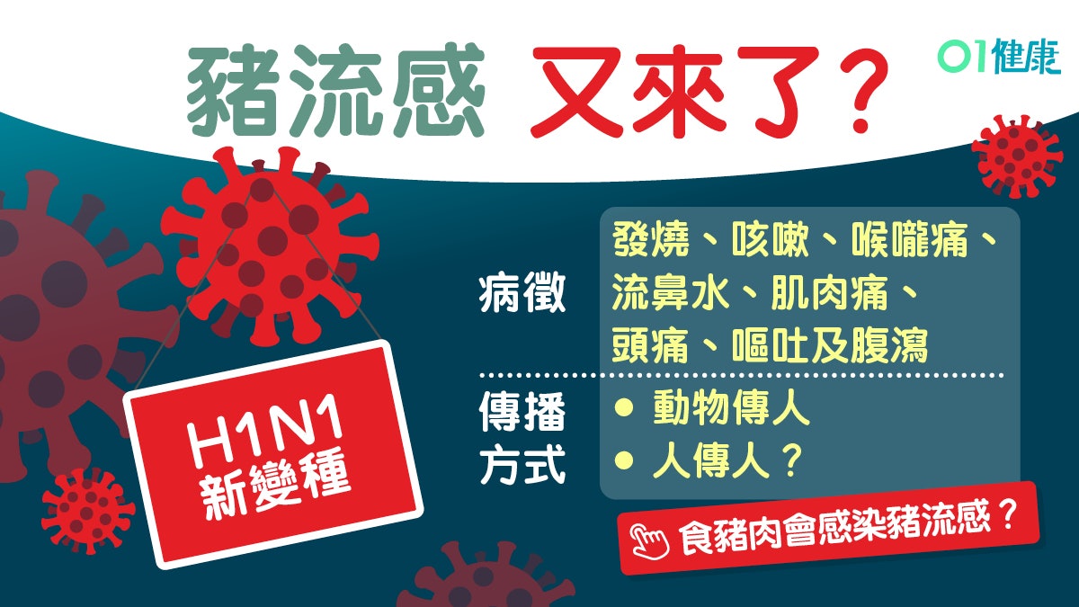 【豬流感】內地揭新型豬流感病毒可傳人 病徵發燒喉嚨痛8大須知 【豬流感】內地揭新型豬流感病毒可傳人 病徵發燒喉嚨痛8大須知