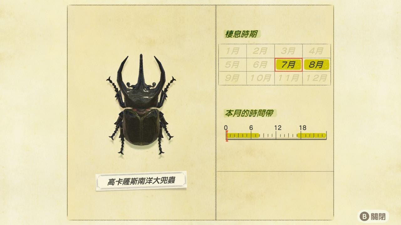 高卡薩斯南洋大兜蟲/商店 :8000﹑收購箱 :6400﹑龍克斯:12000/出沒時間:晚上5點到隔天早上8點/椰子樹上(遊戲截圖) 高卡薩斯南洋大兜蟲/商店 :8000﹑收購箱 :6400﹑龍克斯:12000/出沒時間:晚上5點到隔天早上8點/椰子樹上(遊戲截圖)