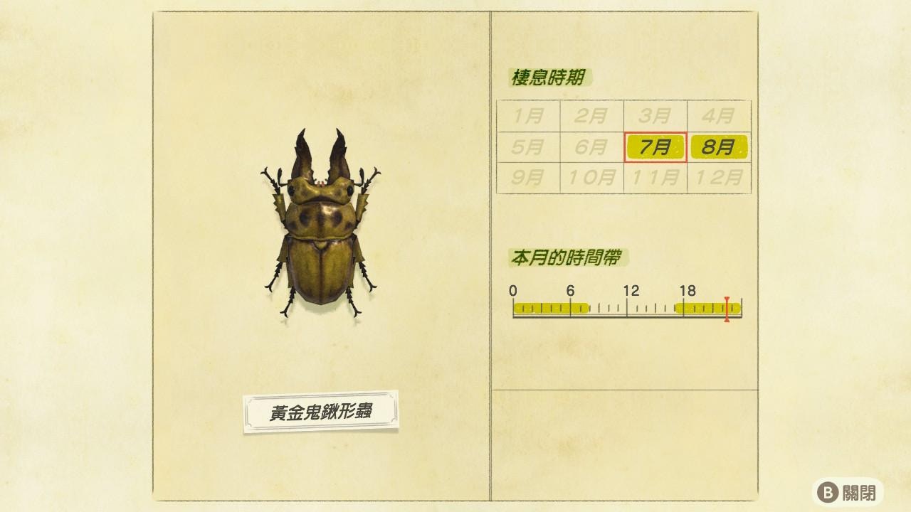 黃金鬼鍬形蟲／商店 ：12000﹑收購箱 ：9600﹑龍克斯：18000／出沒時間：晚上5點到隔天早上8點／椰子樹上（遊戲截圖）