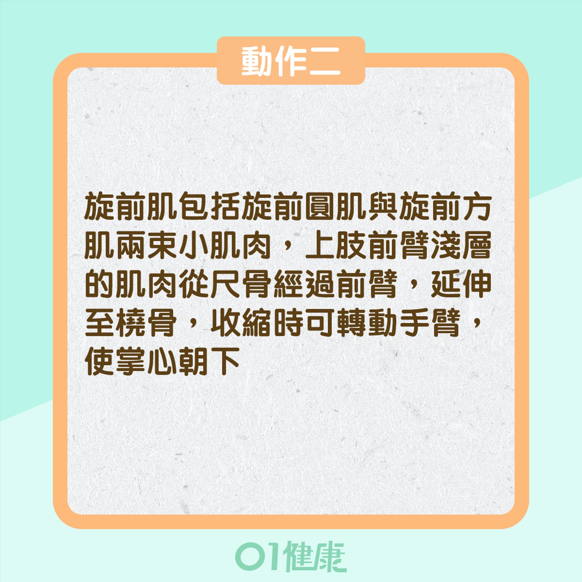 網球肘紓緩動作二(01製圖) 網球肘紓緩動作二(01製圖)